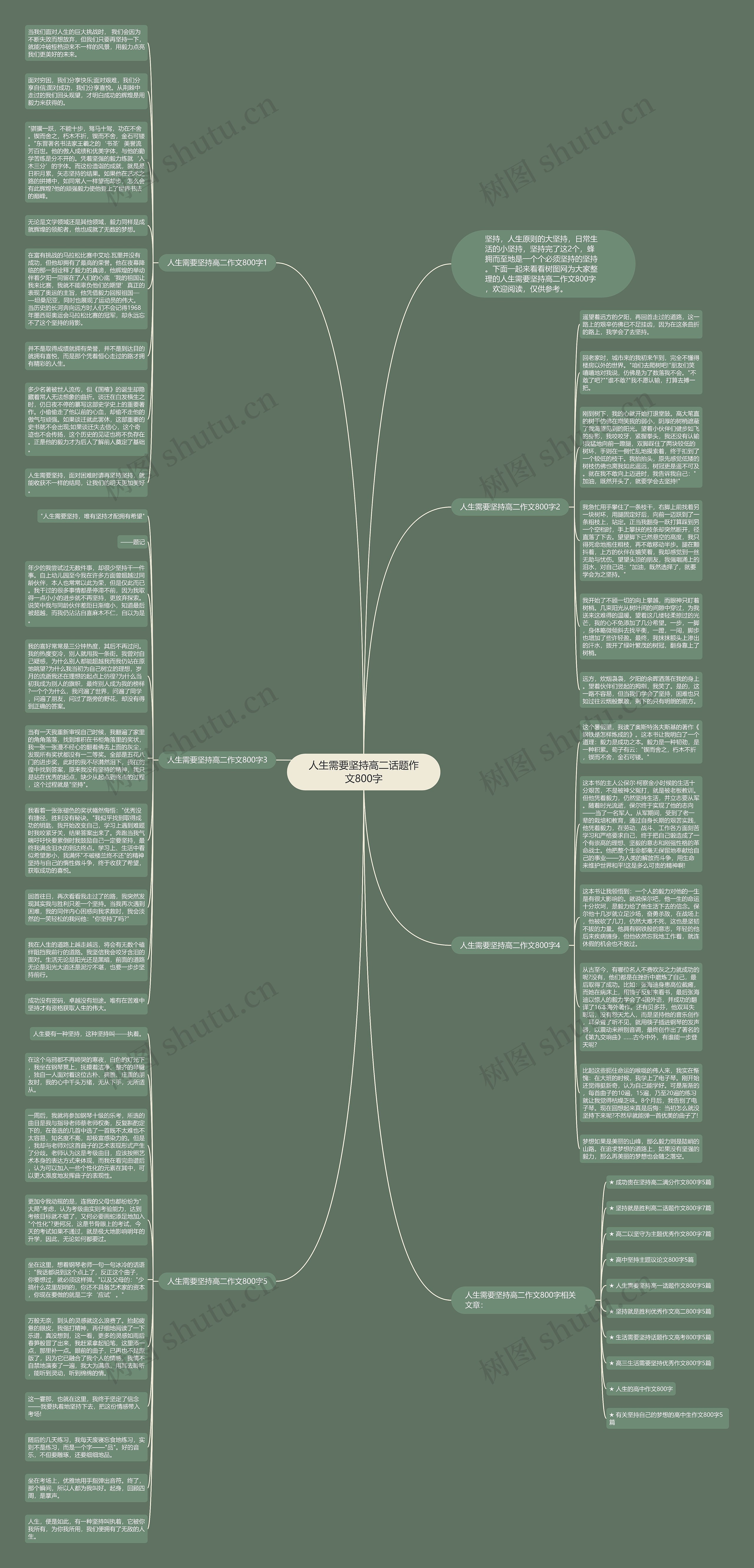 人生需要坚持高二话题作文800字思维导图