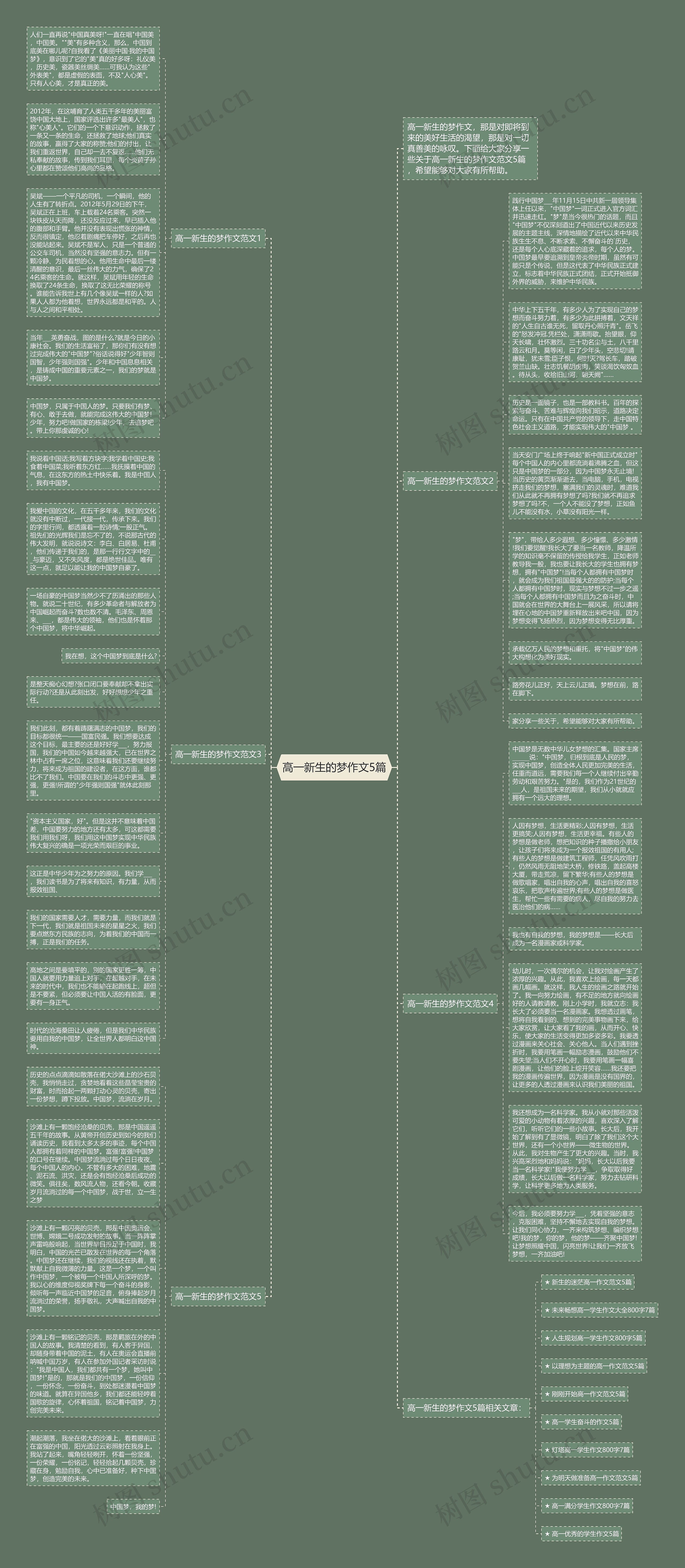 高一新生的梦作文5篇思维导图