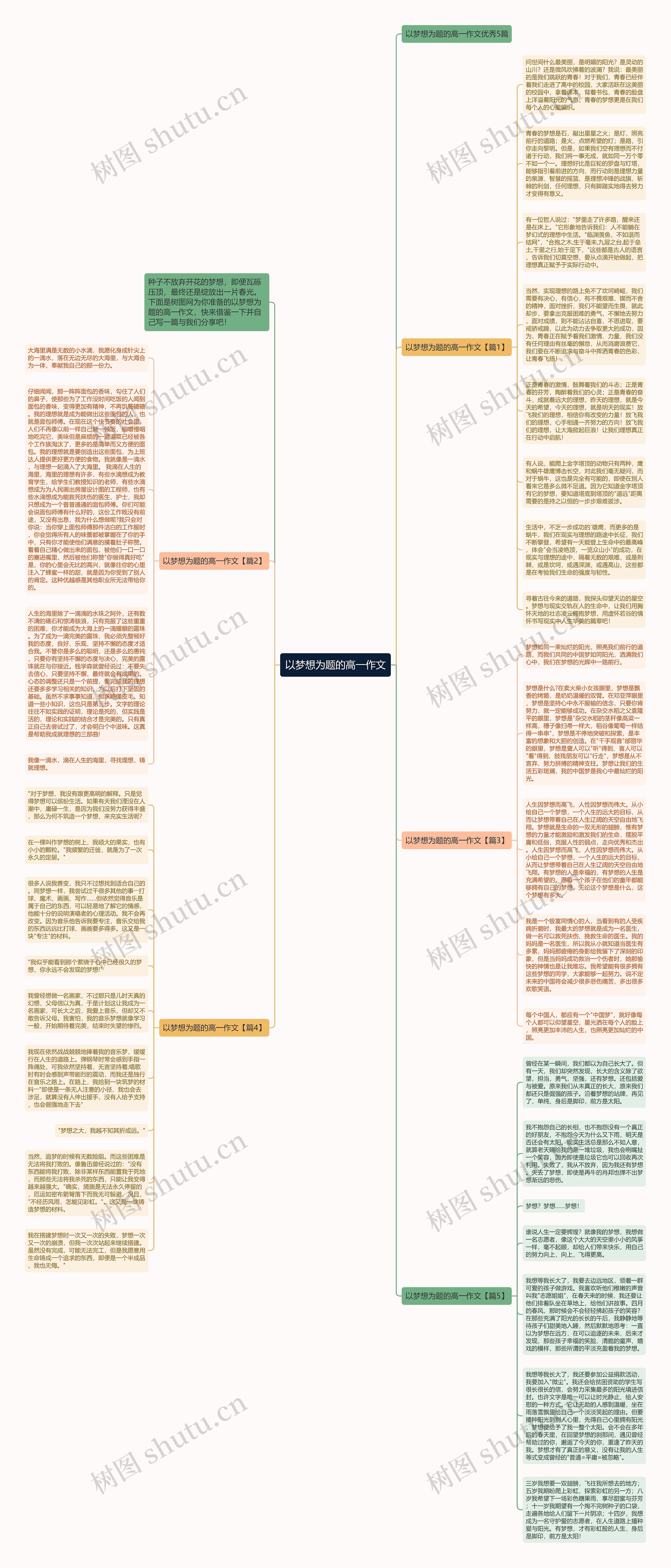 以梦想为题的高一作文思维导图