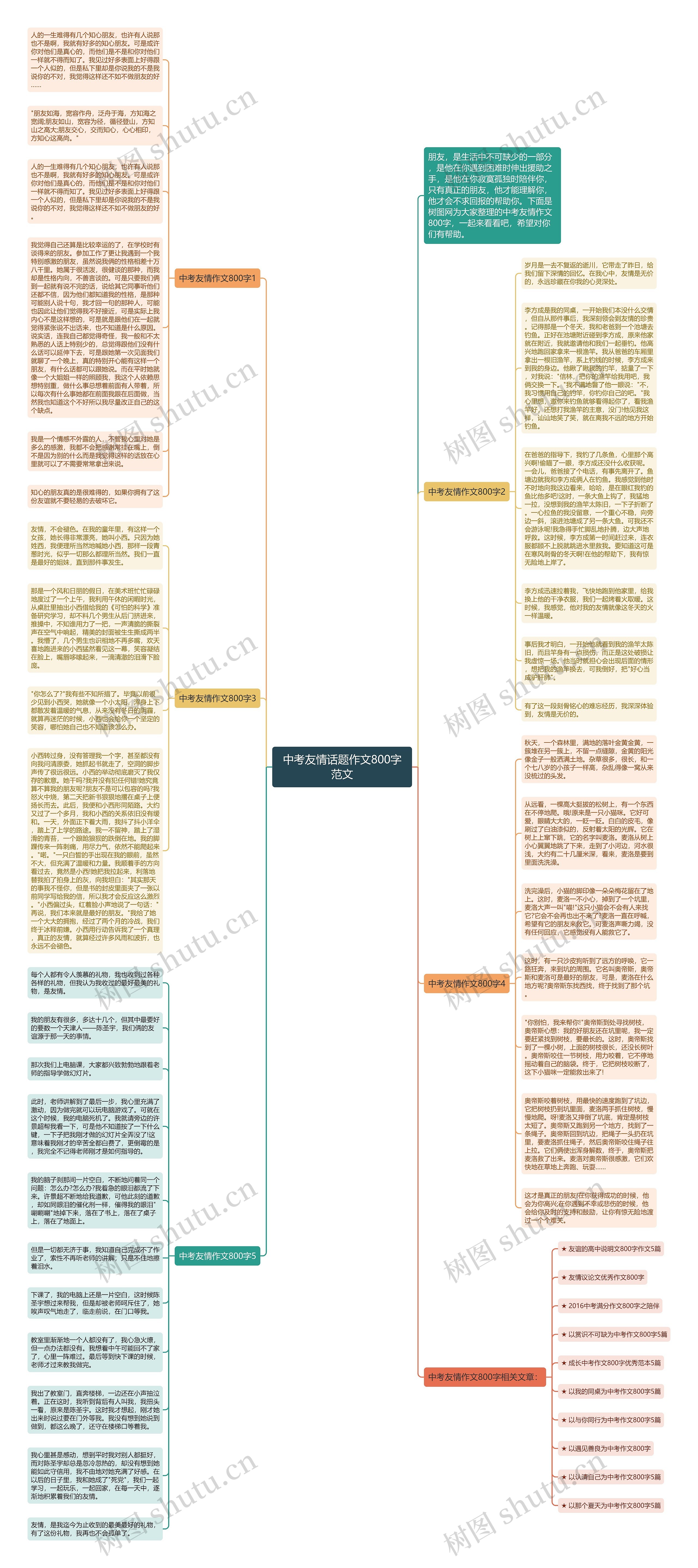 中考友情话题作文800字范文思维导图