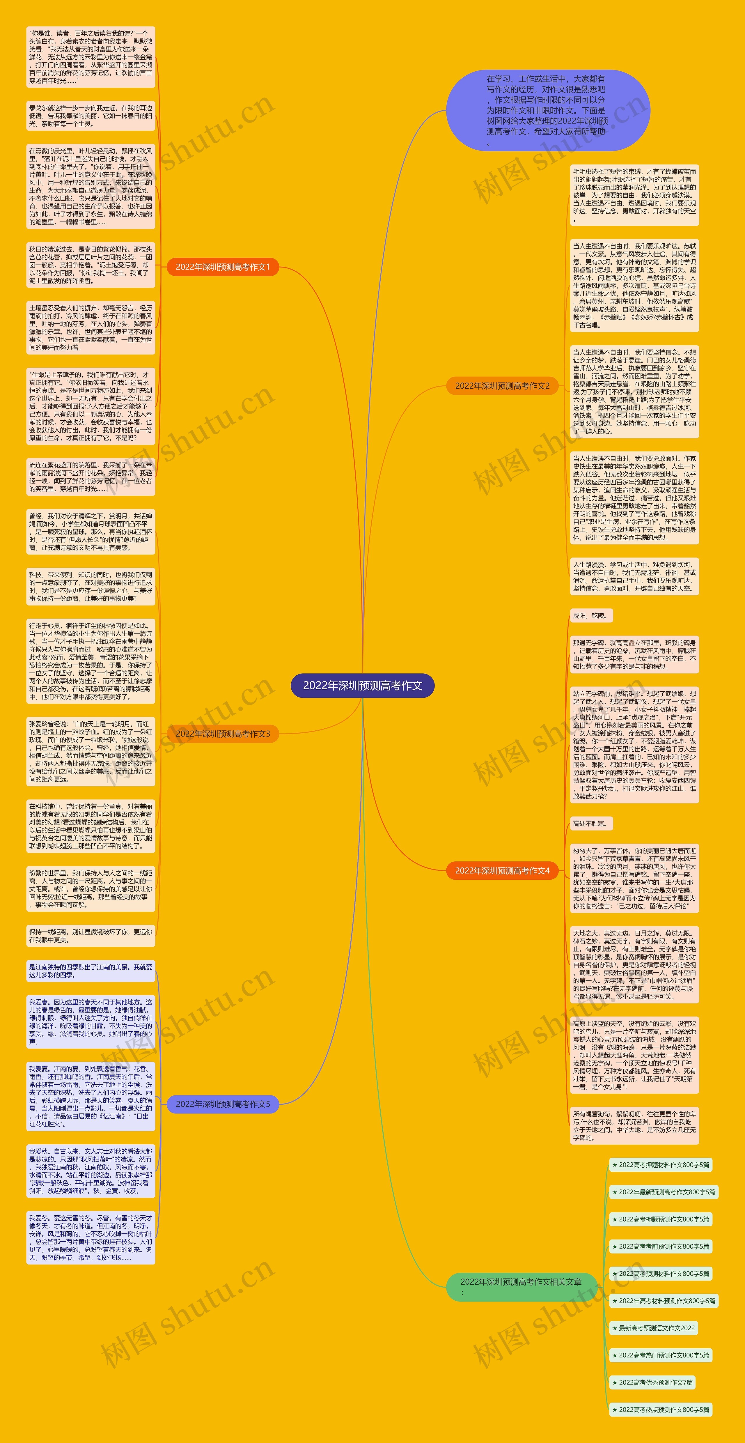 2022年深圳预测高考作文思维导图