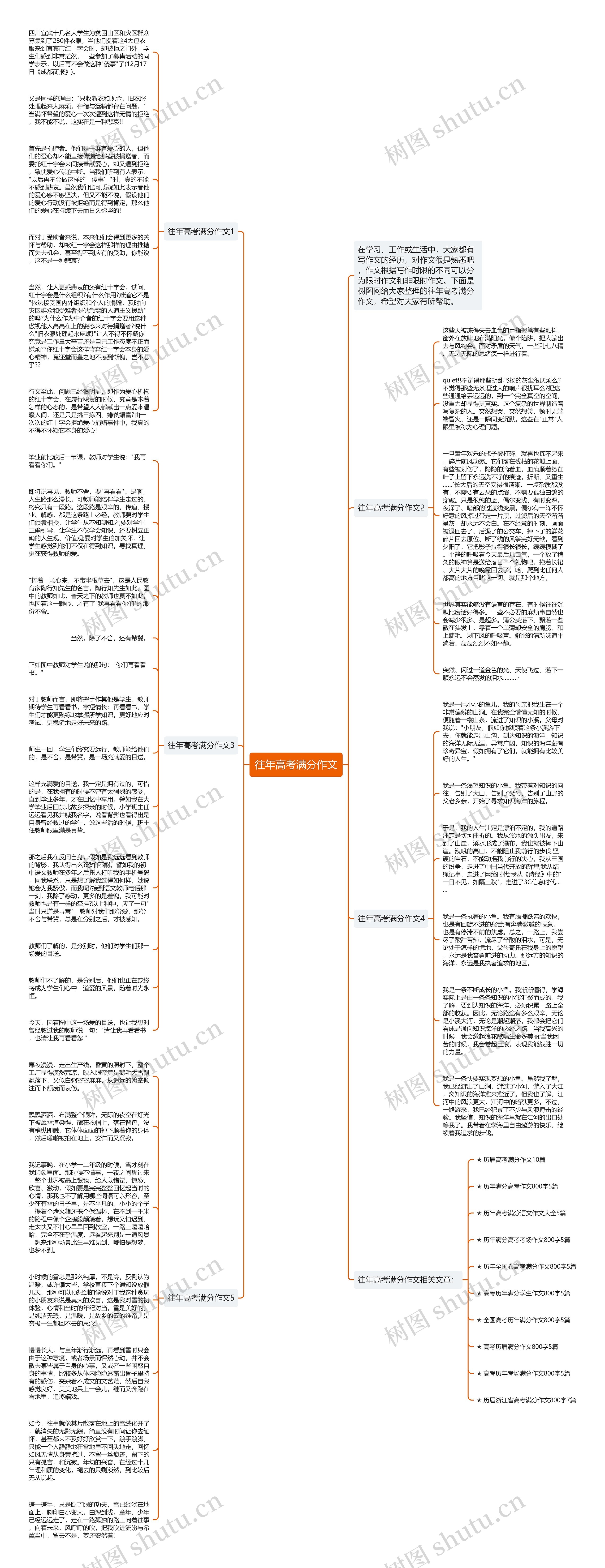 往年高考满分作文思维导图