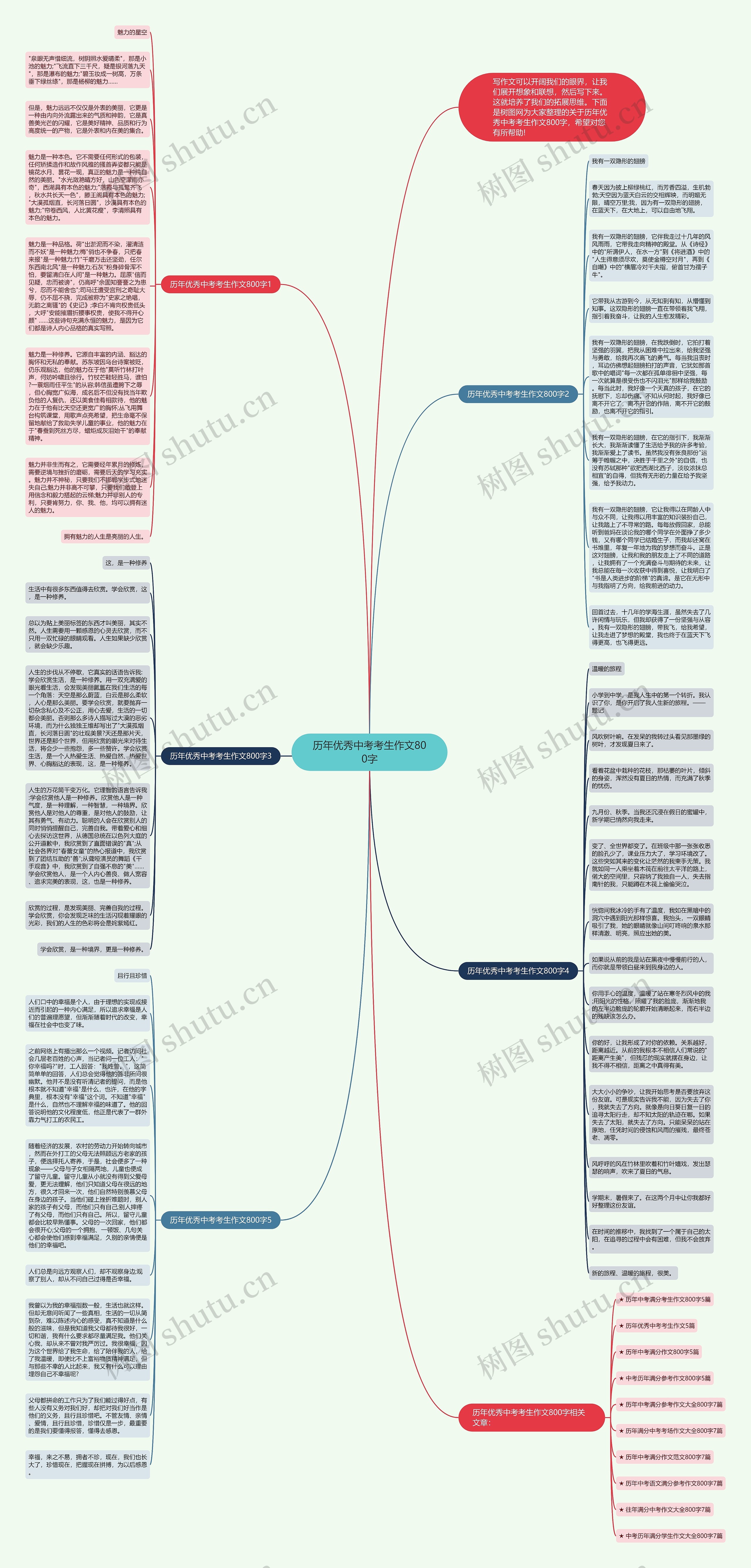 历年优秀中考考生作文800字思维导图