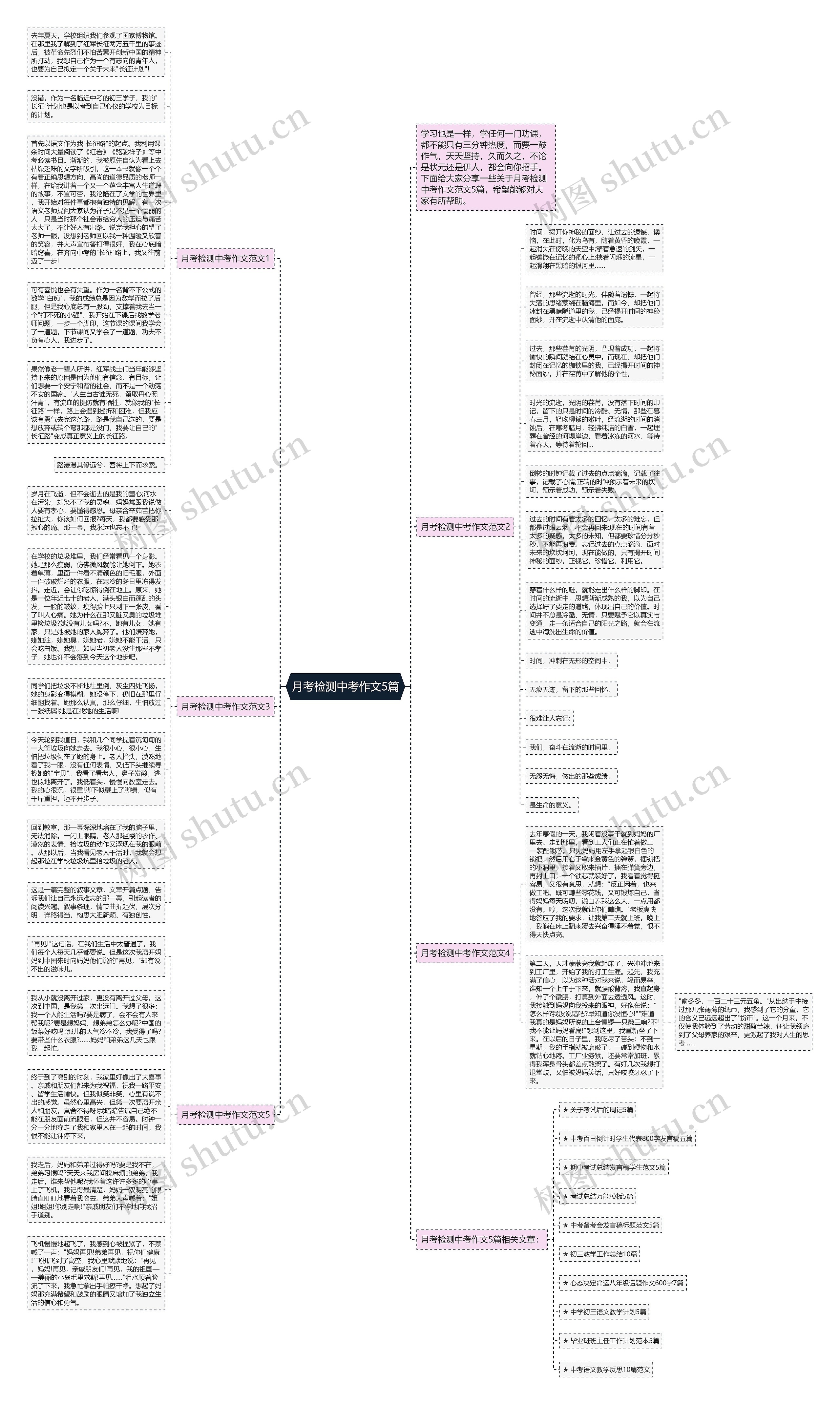 月考检测中考作文5篇思维导图