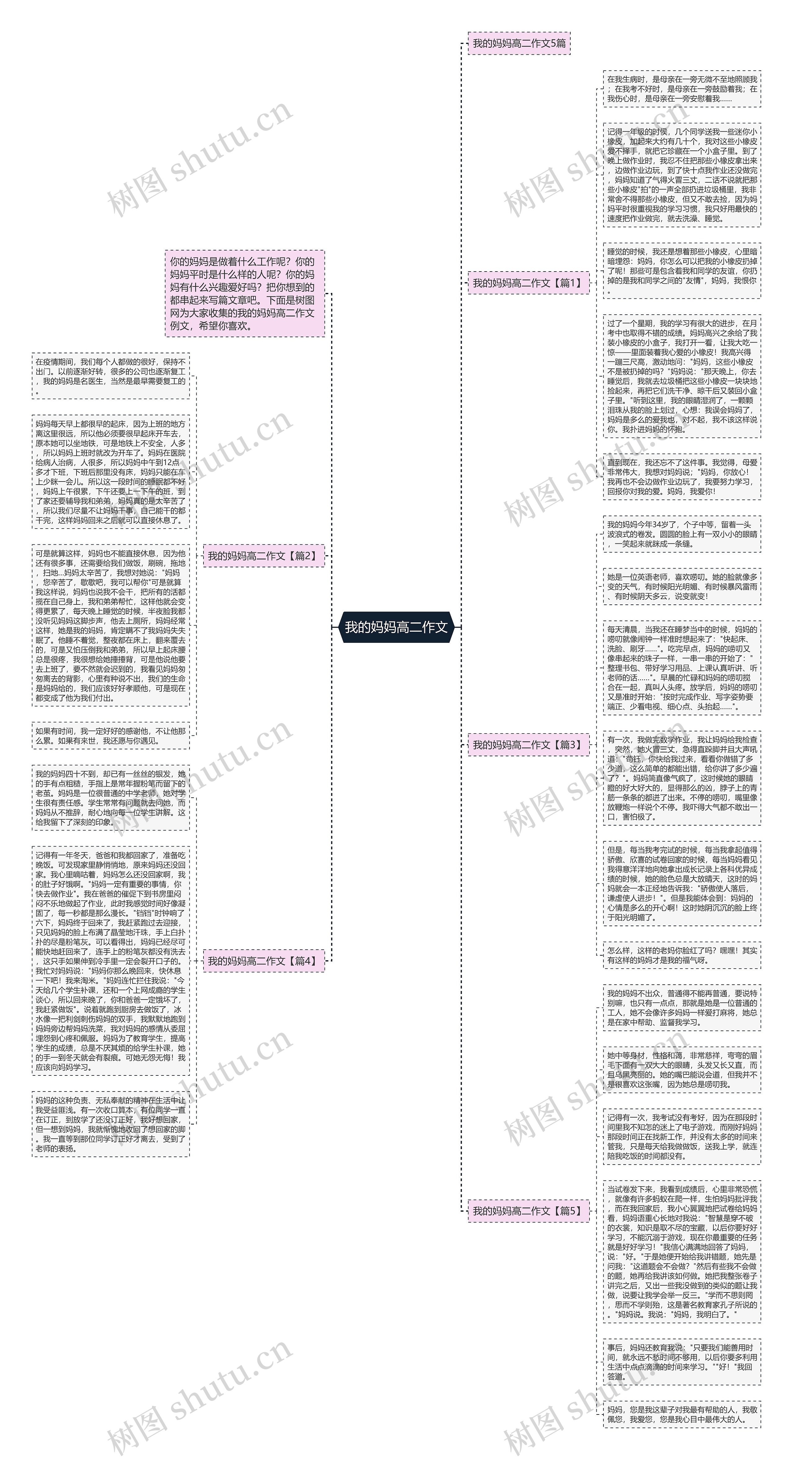 我的妈妈高二作文思维导图