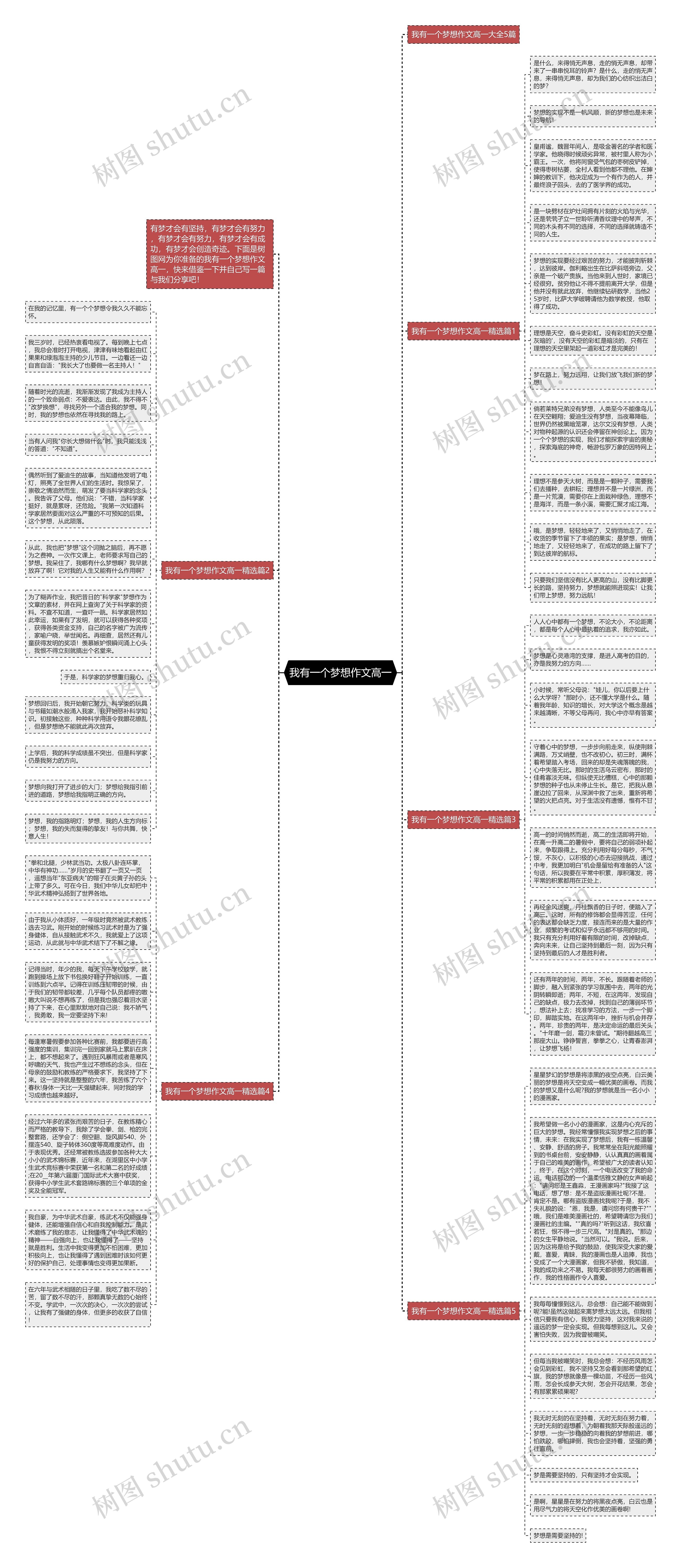 我有一个梦想作文高一思维导图