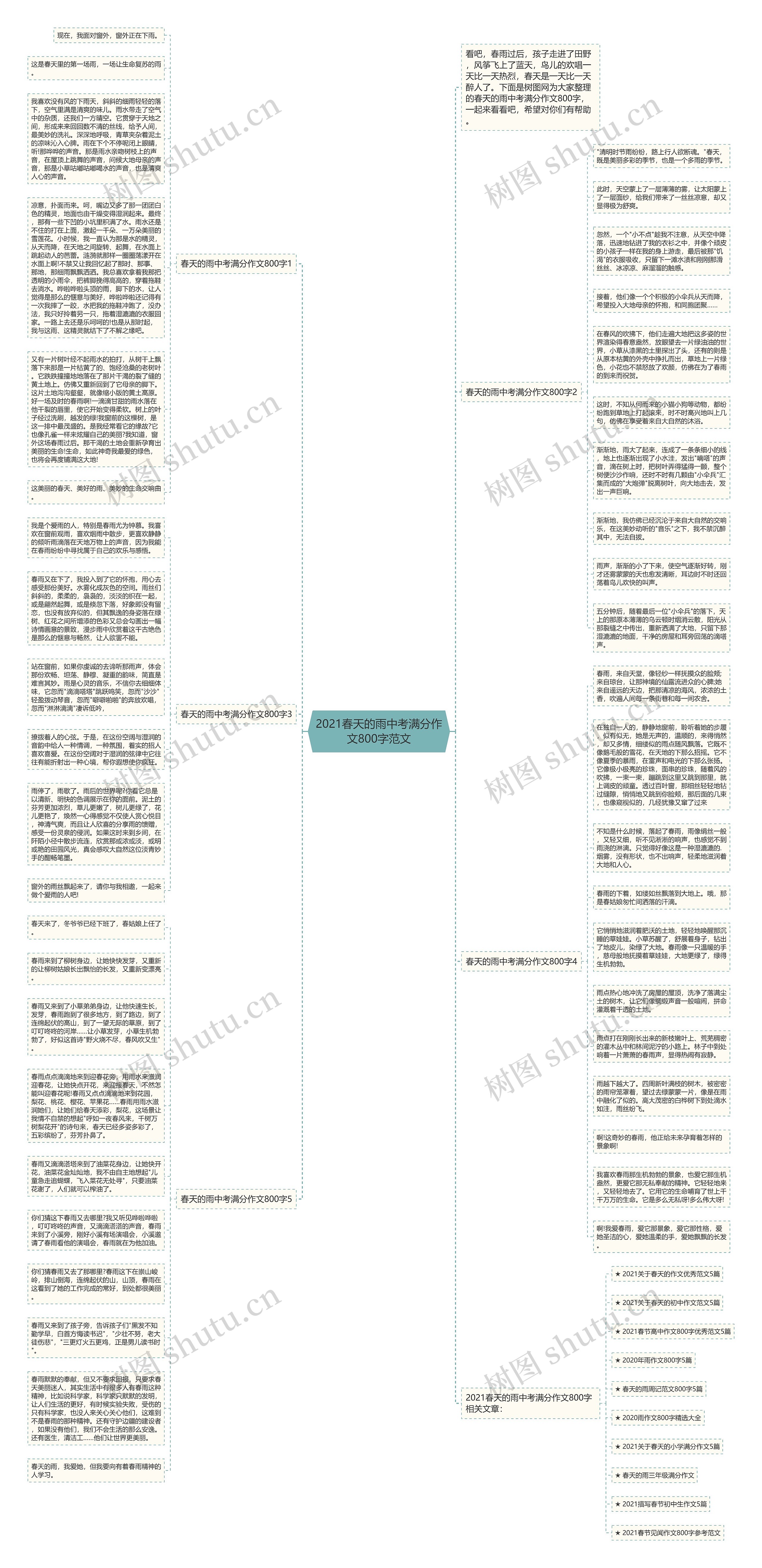 2021春天的雨中考满分作文800字范文思维导图