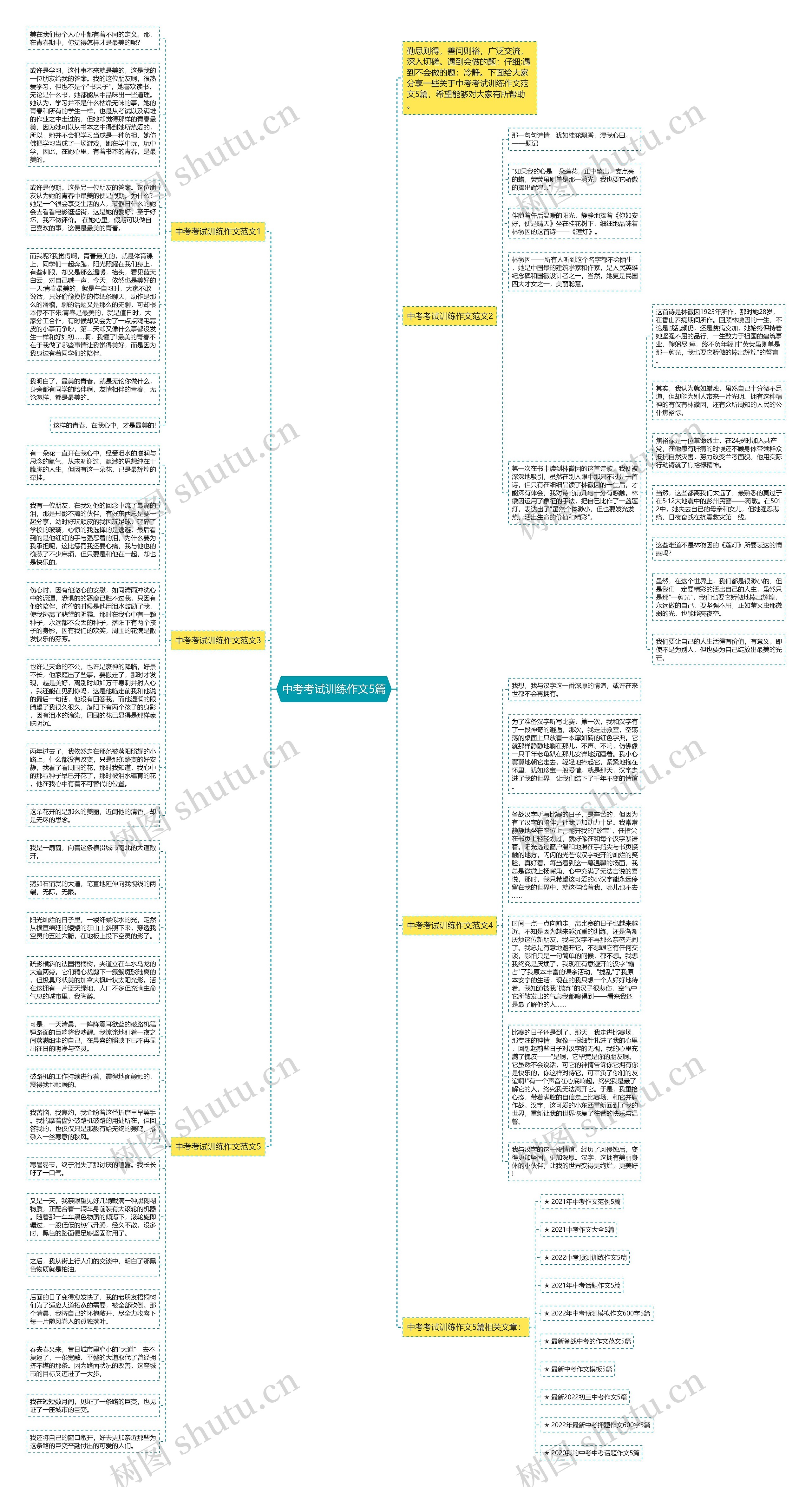 中考考试训练作文5篇思维导图