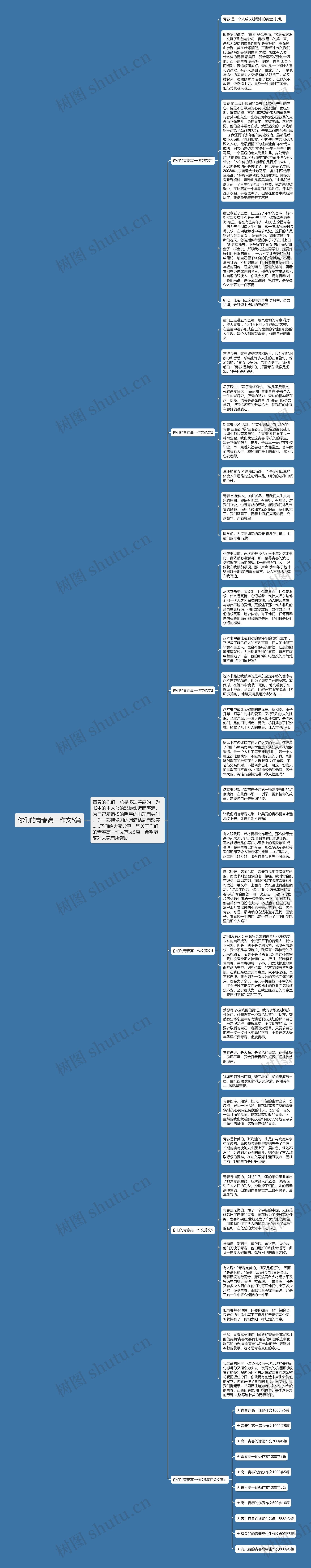 你们的青春高一作文5篇