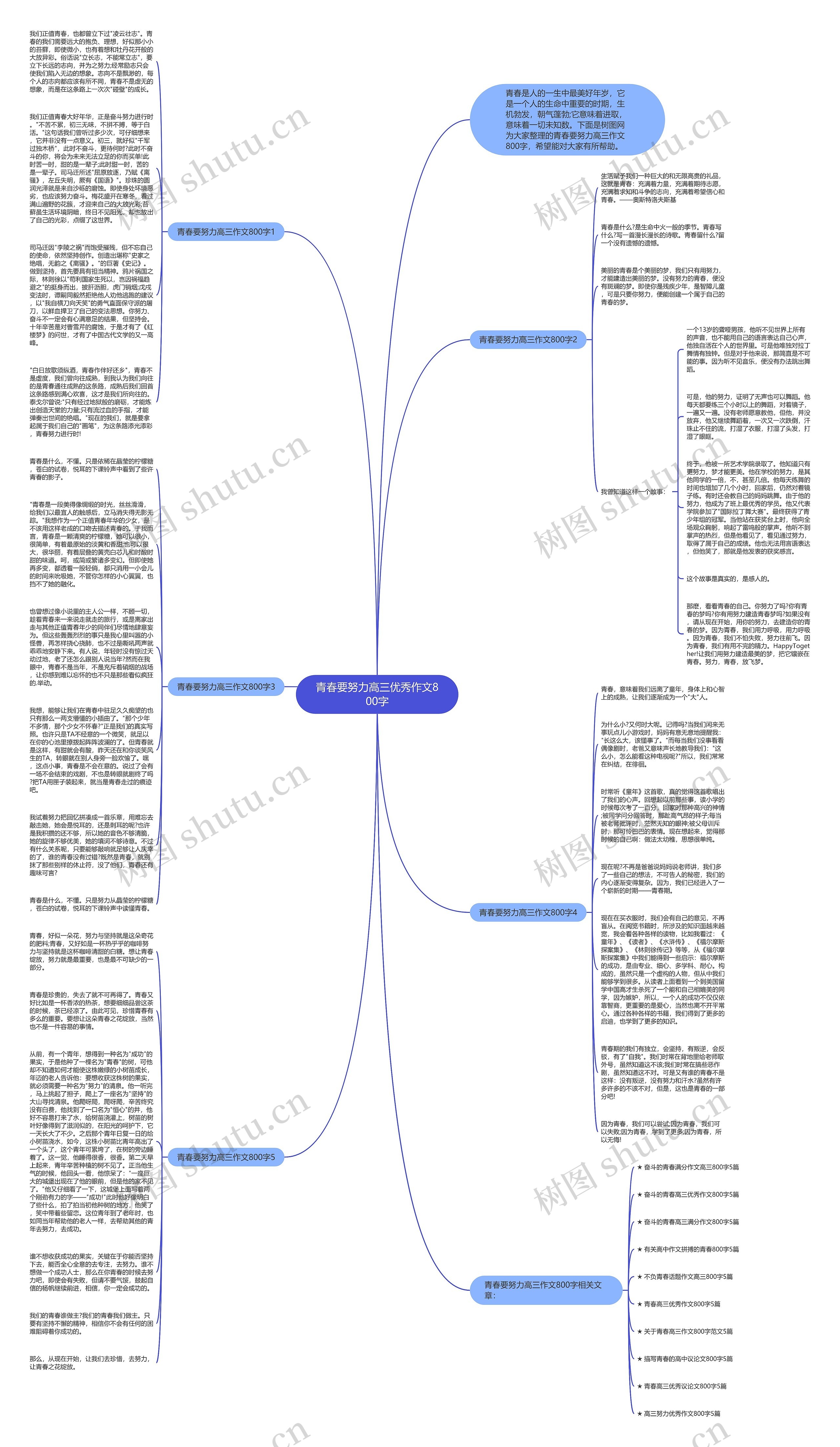 青春要努力高三优秀作文800字思维导图