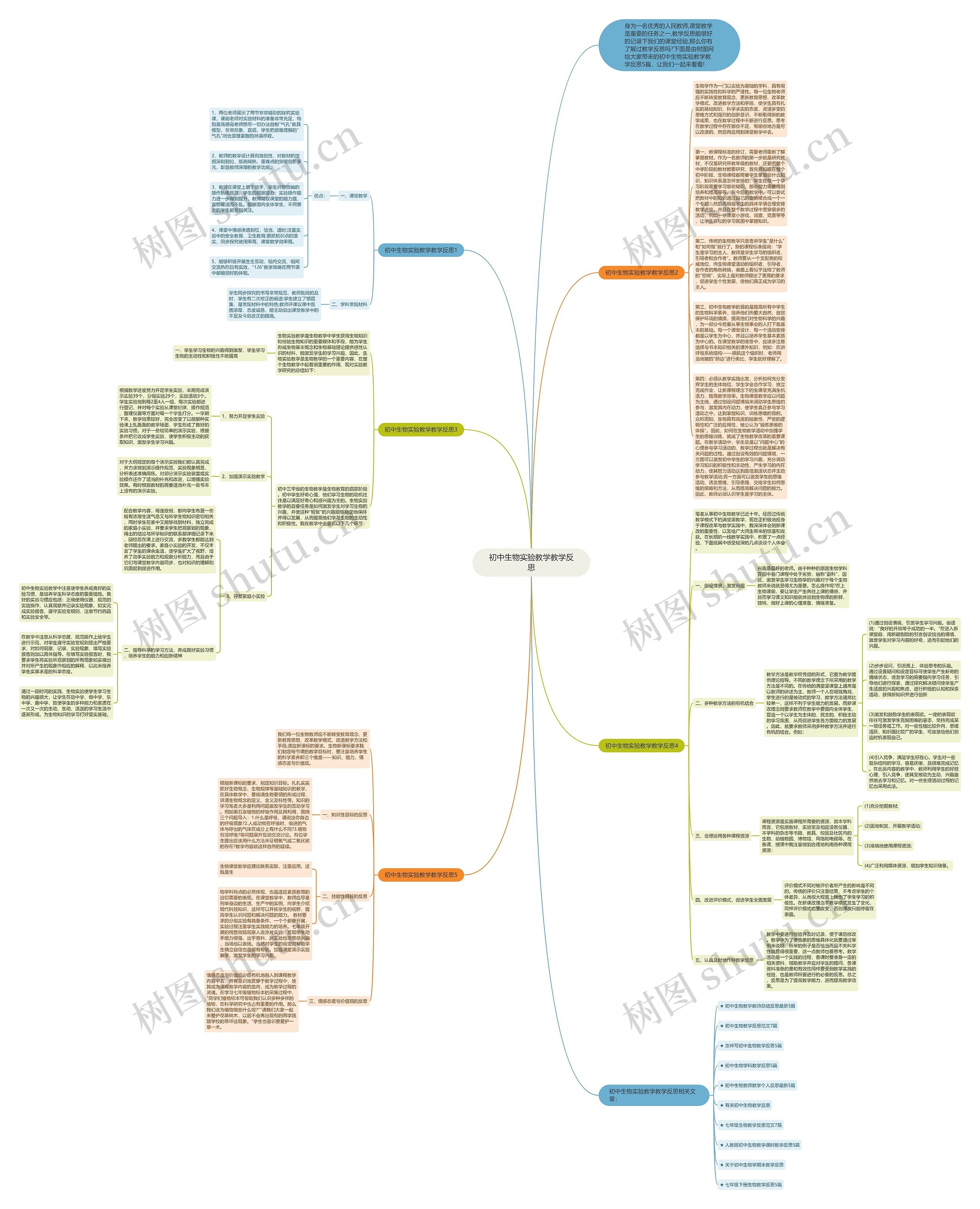 初中生物实验教学教学反思思维导图