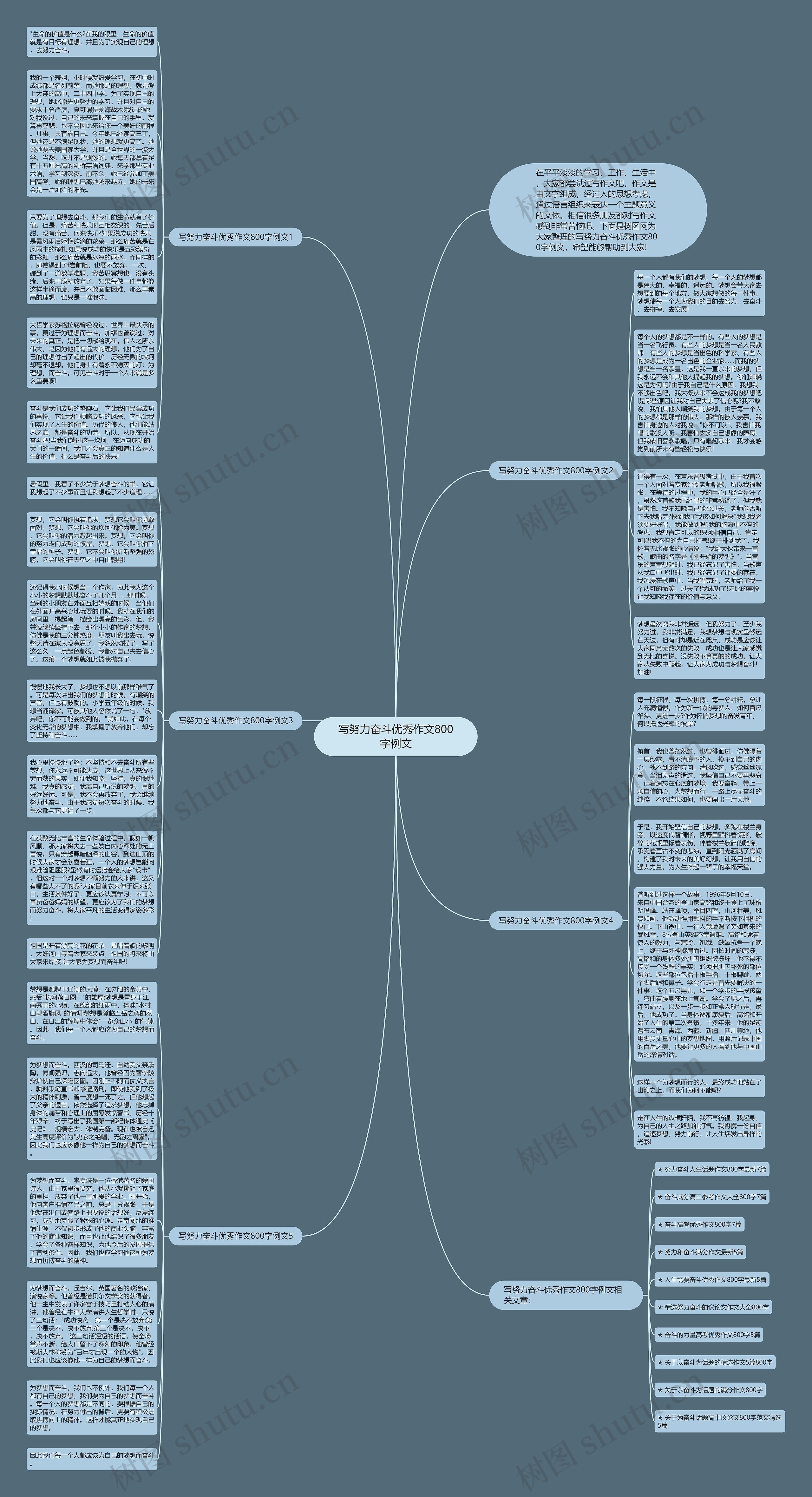 写努力奋斗优秀作文800字例文思维导图