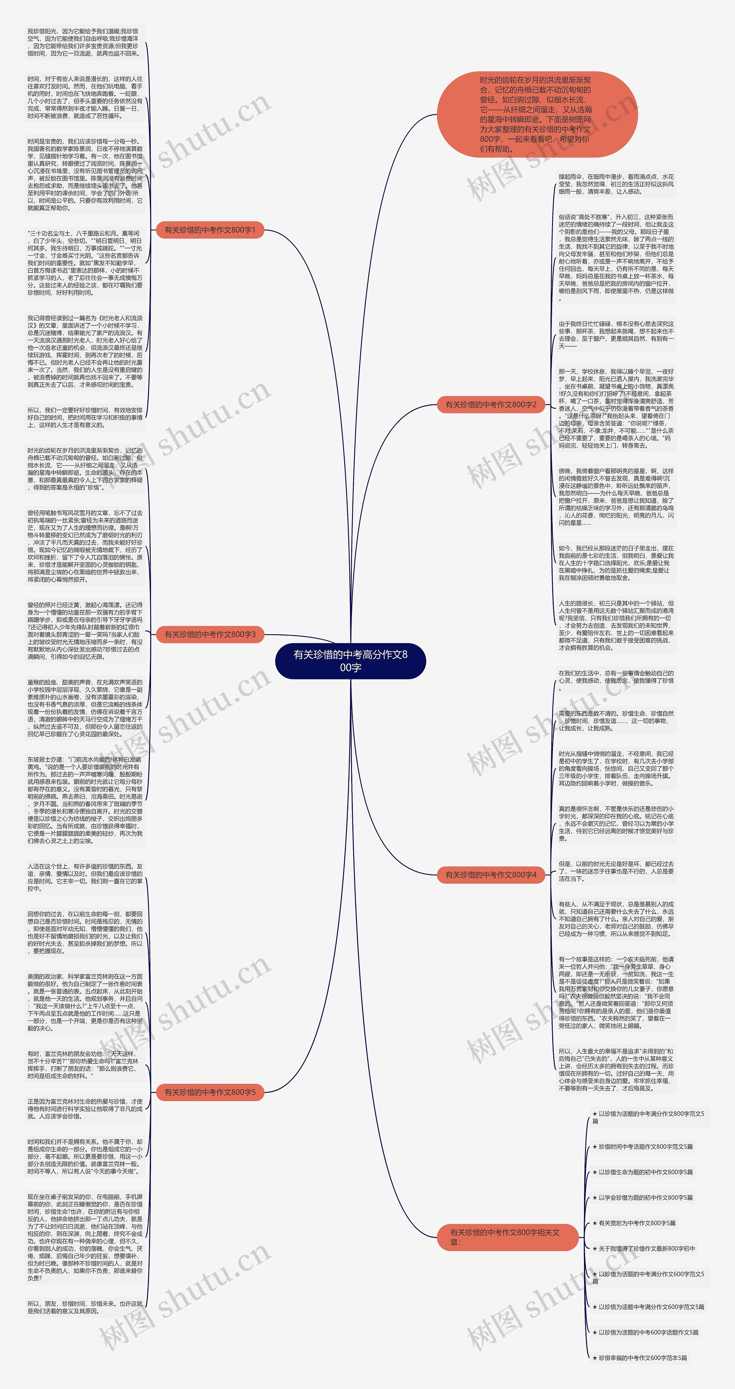 有关珍惜的中考高分作文800字思维导图
