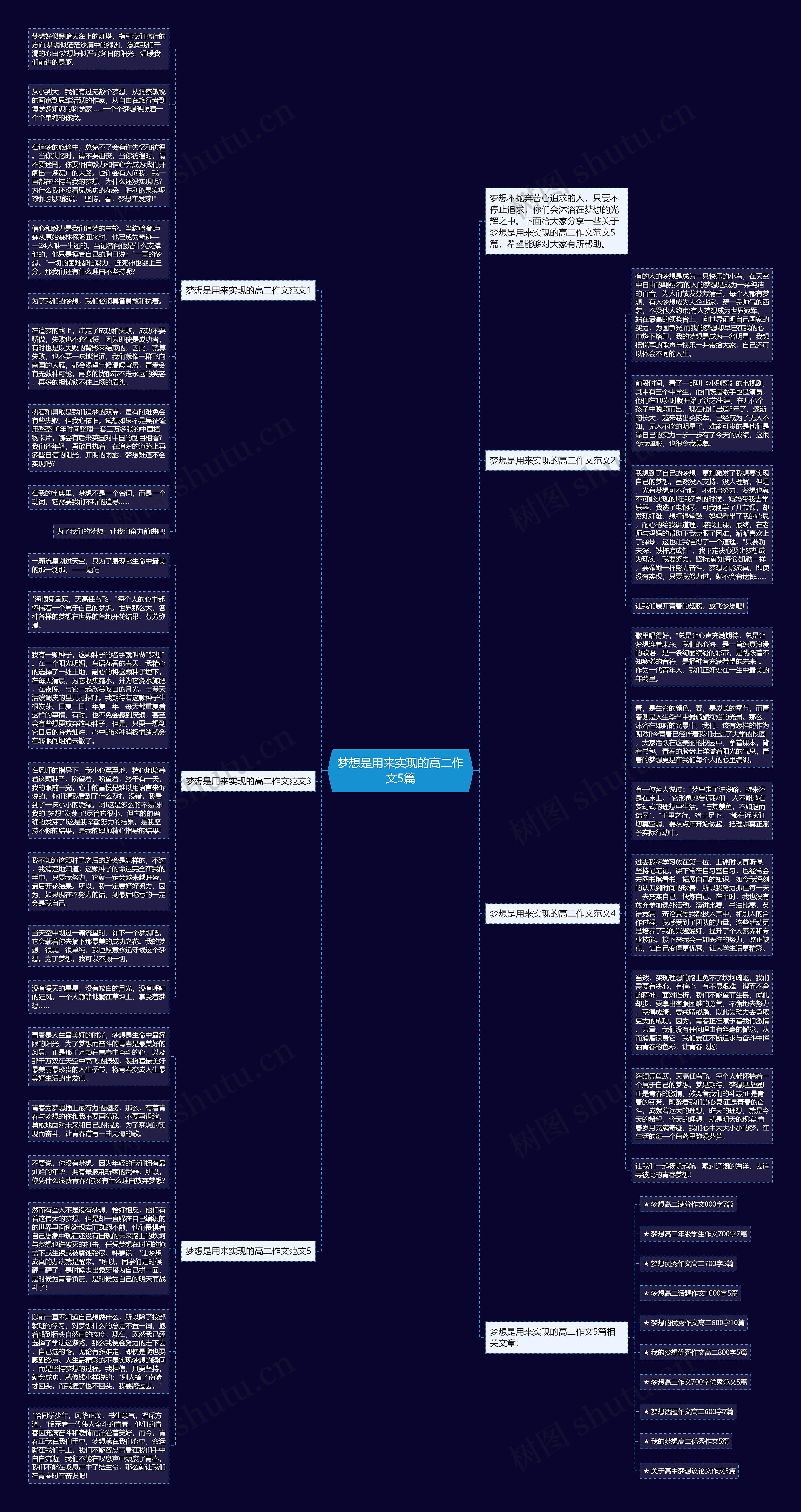 梦想是用来实现的高二作文5篇思维导图