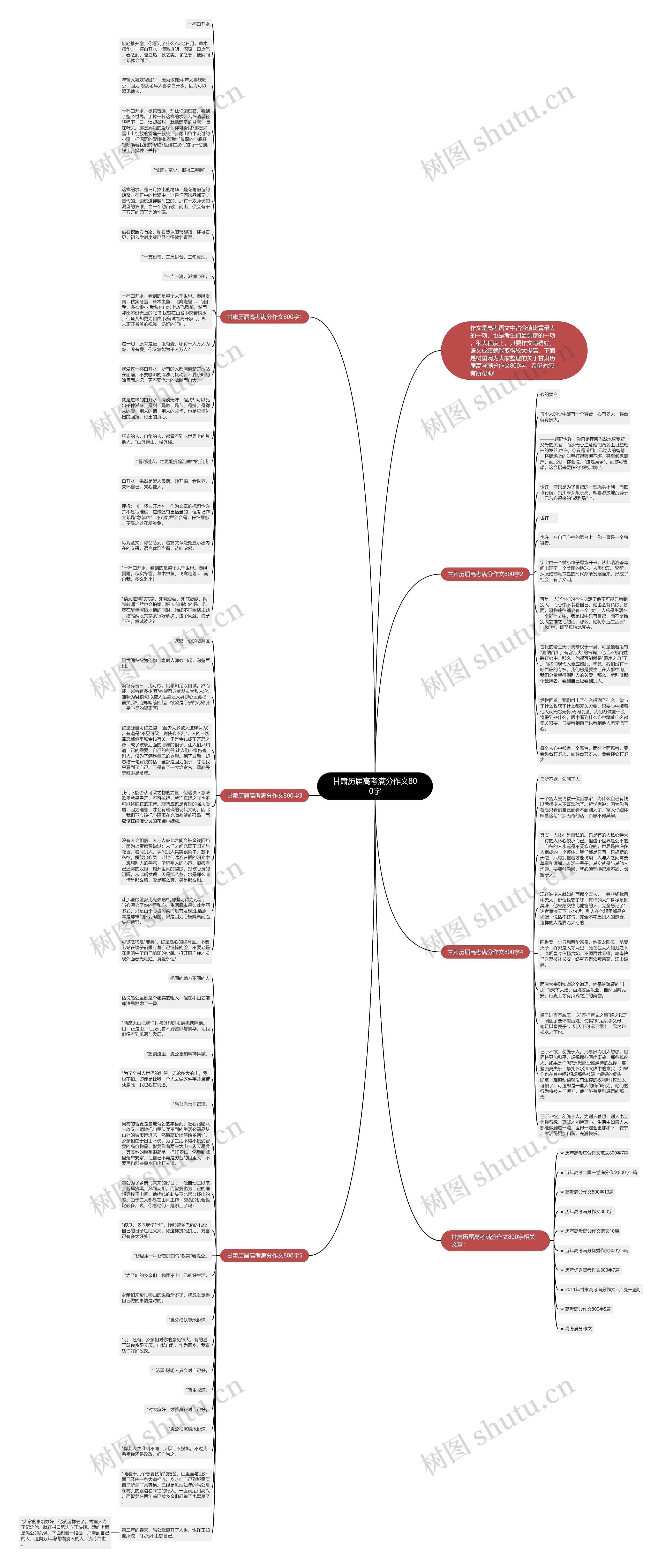 甘肃历届高考满分作文800字思维导图