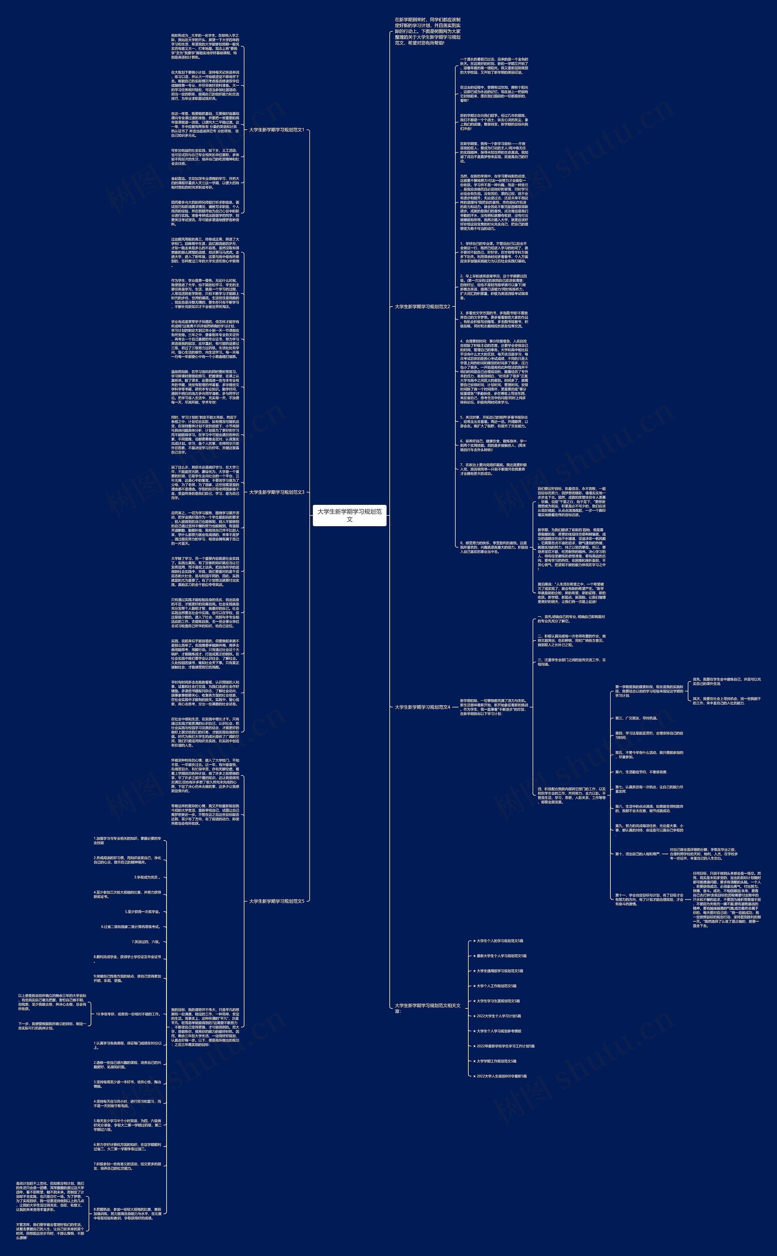 大学生新学期学习规划范文思维导图
