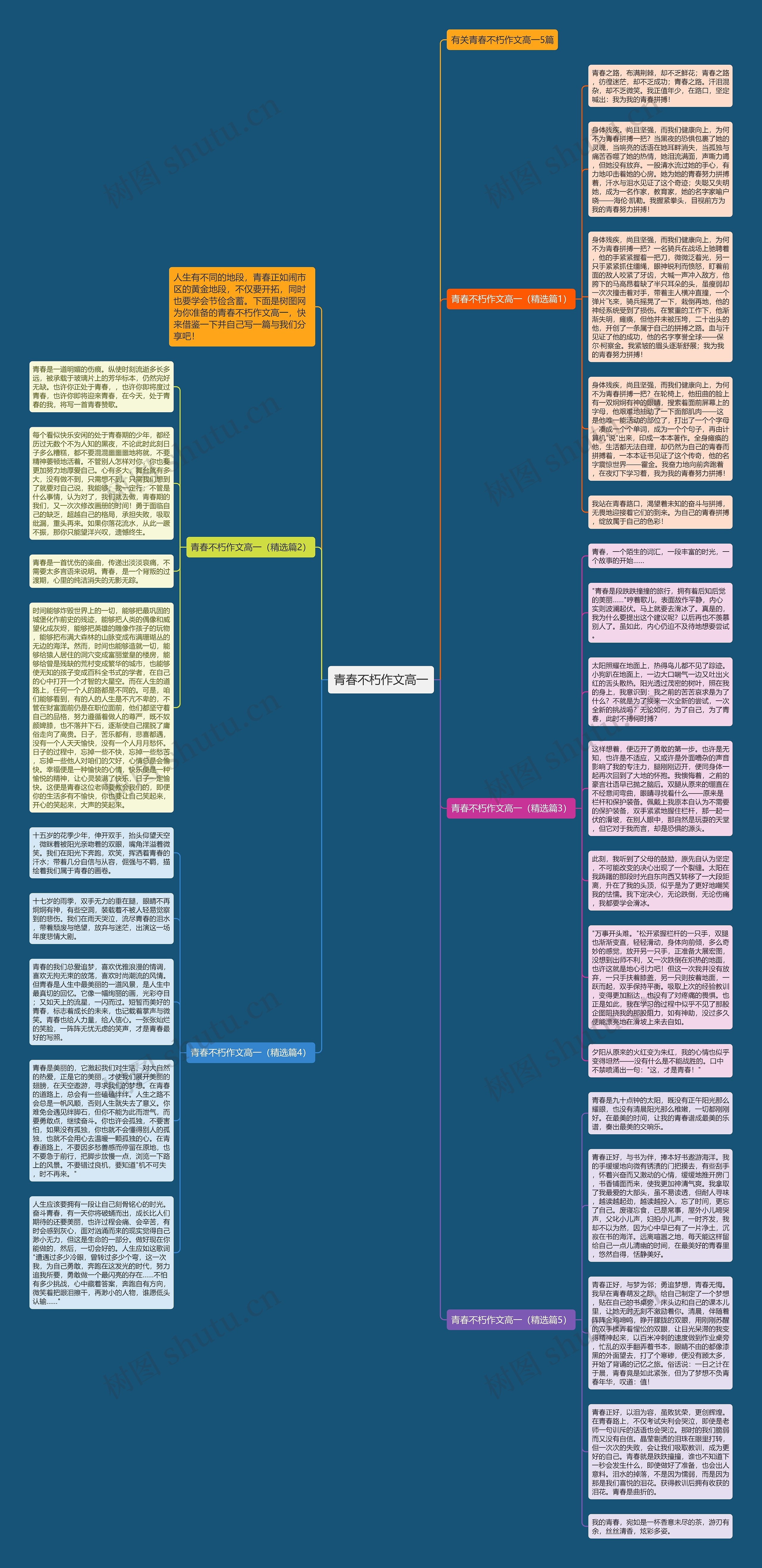 青春不朽作文高一思维导图高清图 青春不朽作文高一思维导图