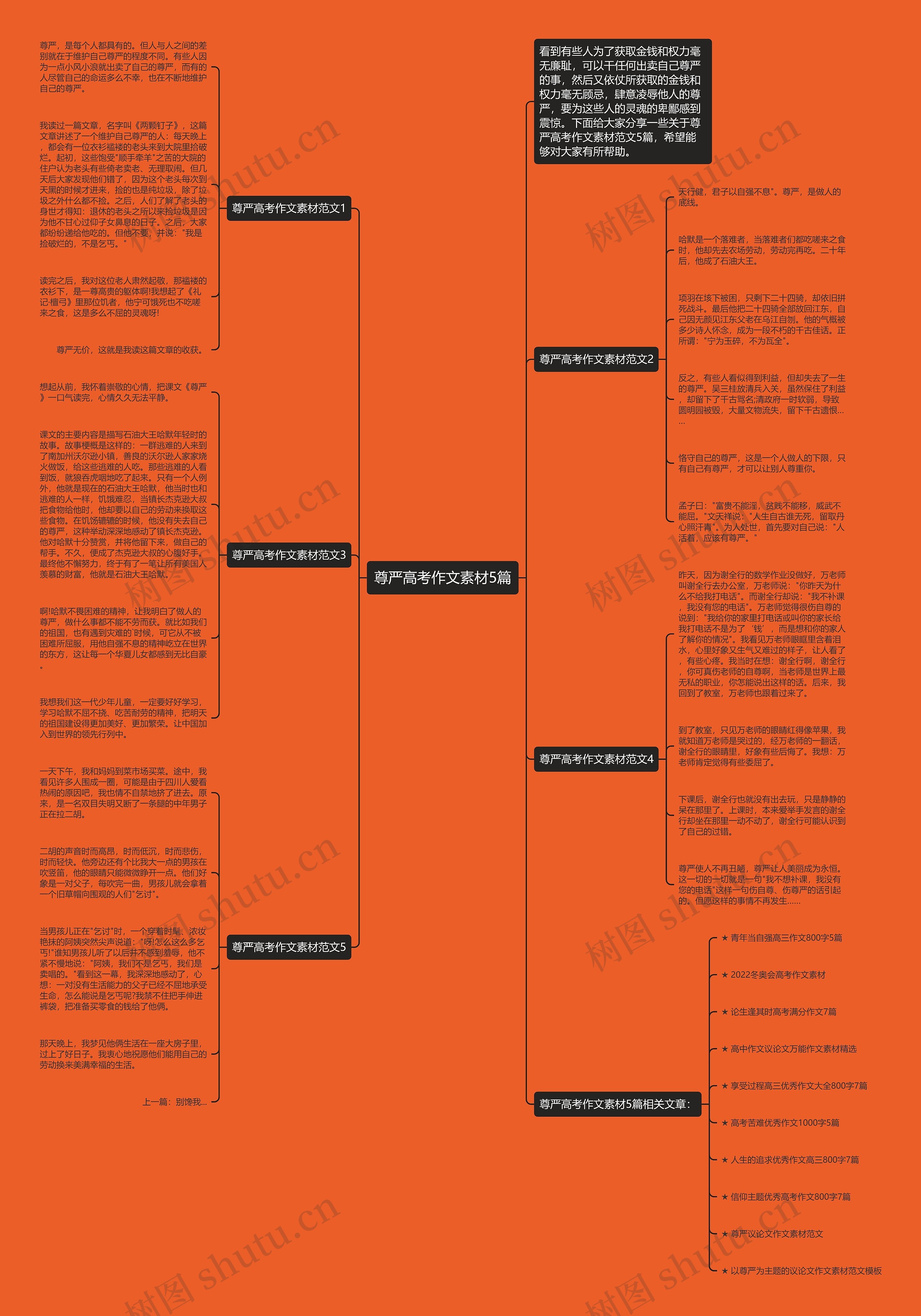 尊严高考作文素材5篇思维导图