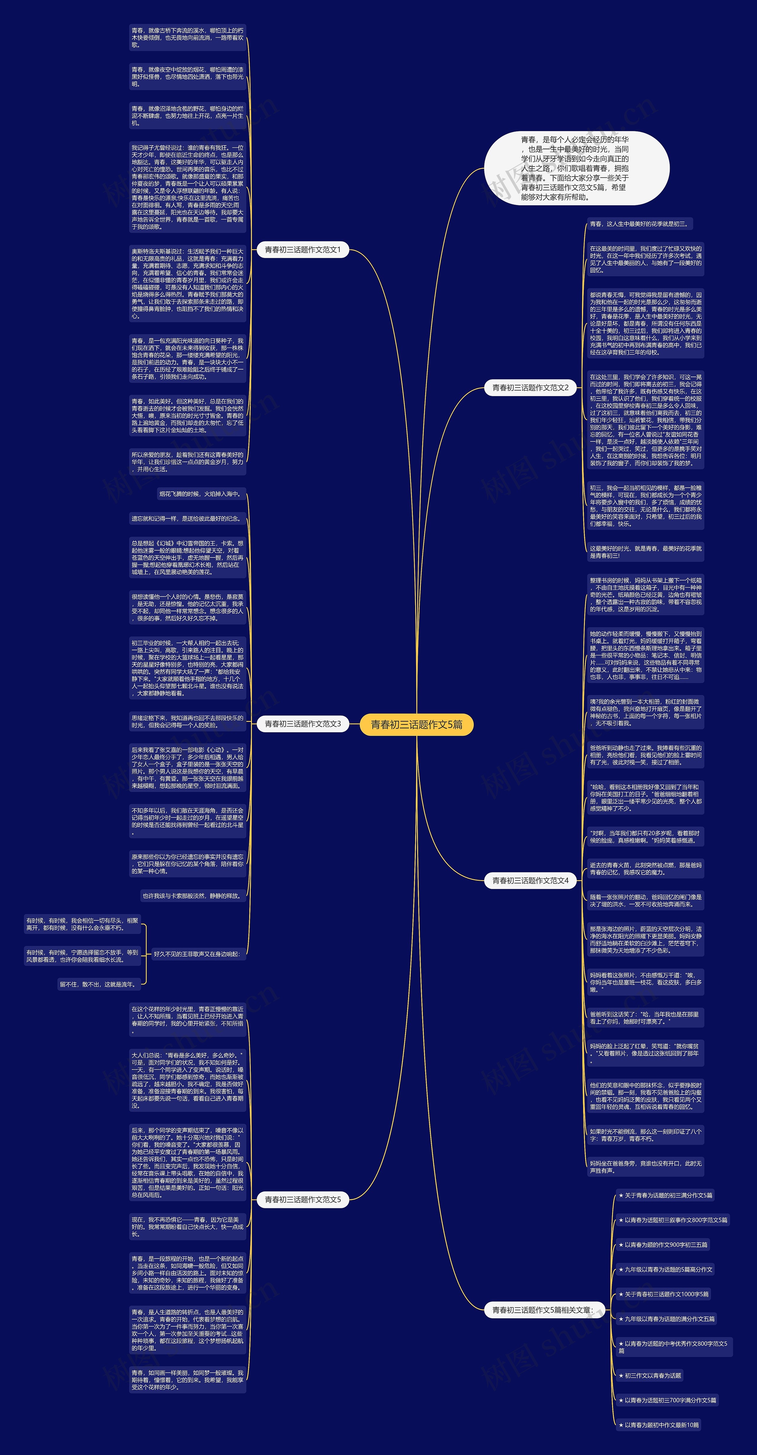 青春初三话题作文5篇思维导图