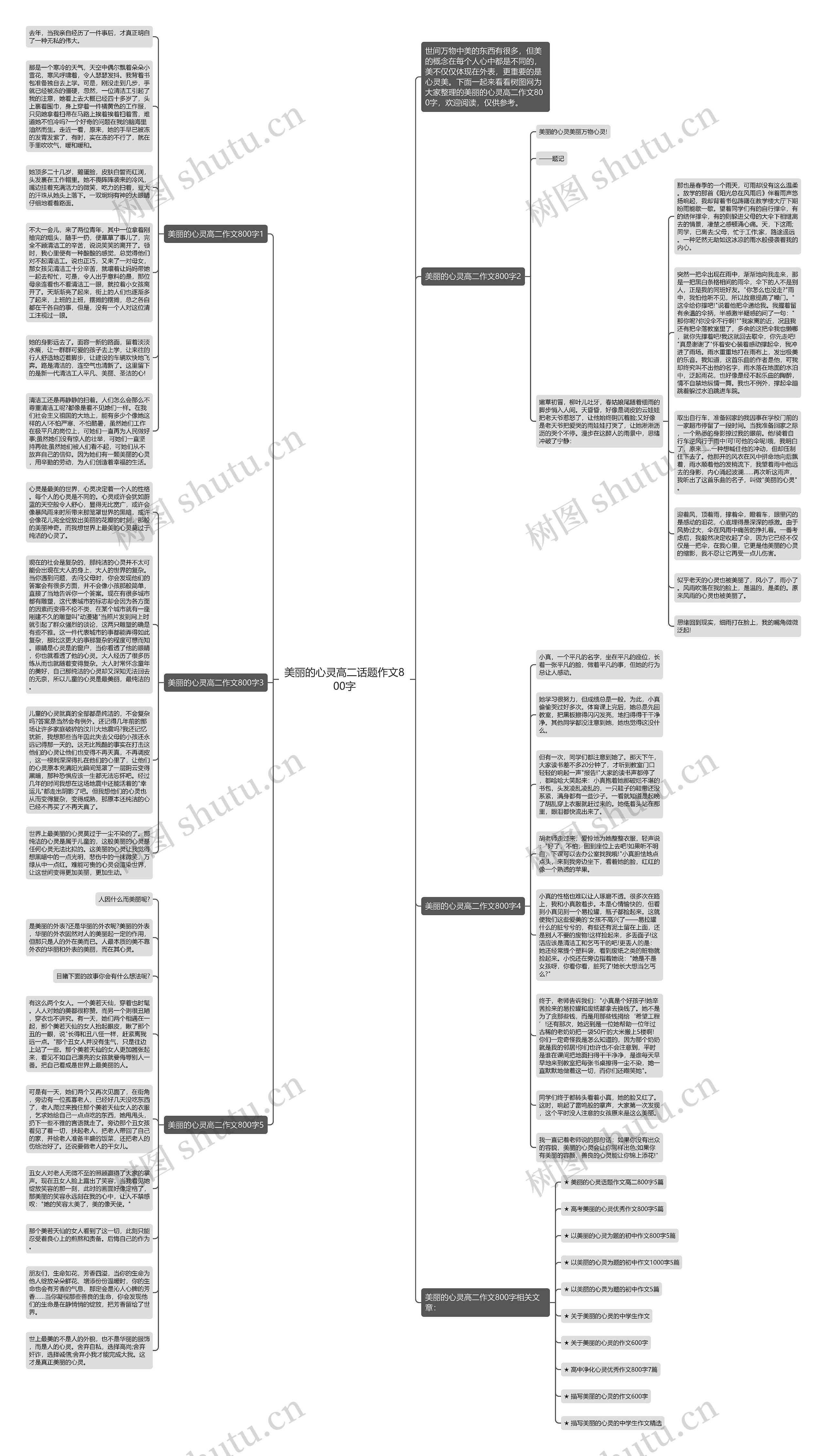 美丽的心灵高二话题作文800字思维导图