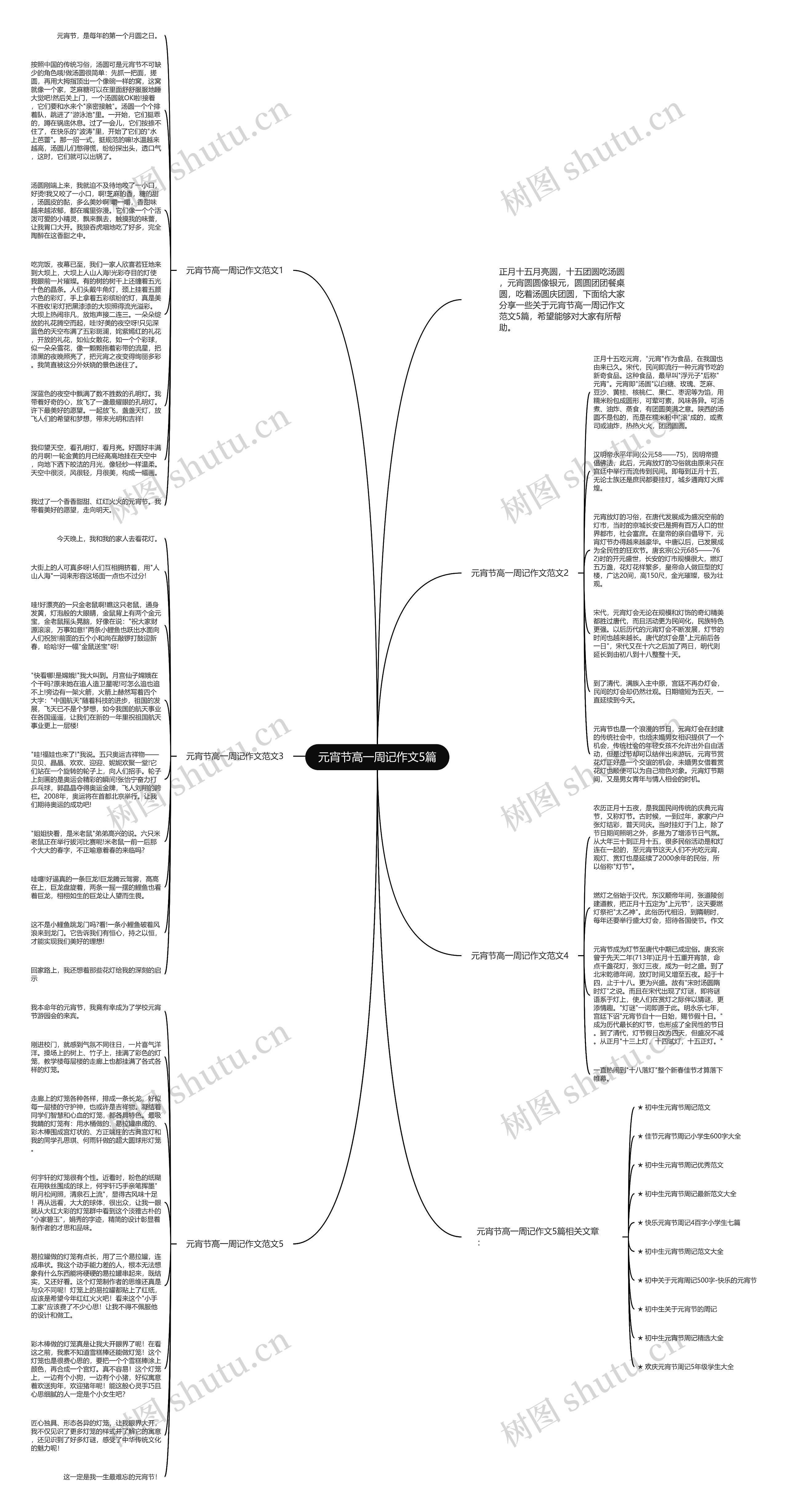元宵节高一周记作文5篇思维导图