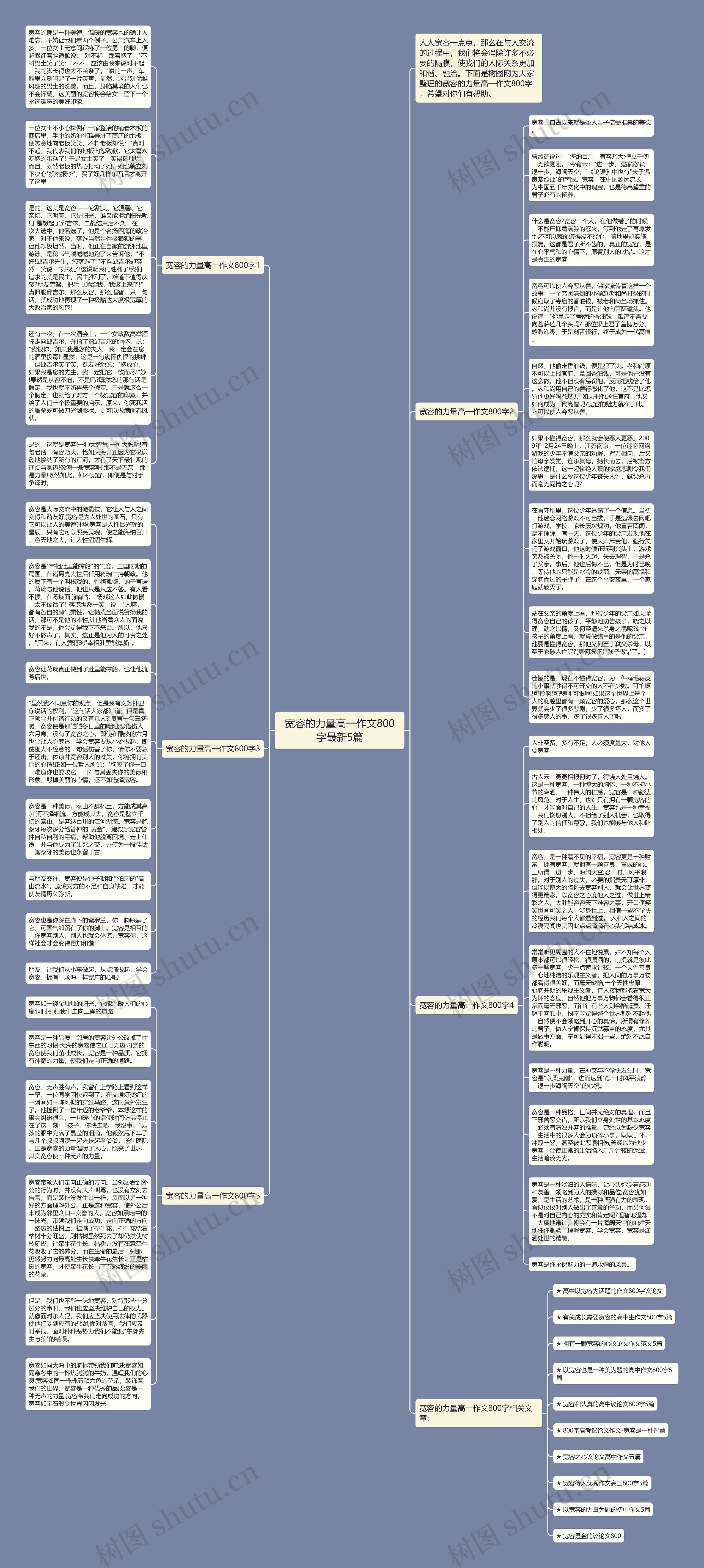 宽容的力量高一作文800字最新5篇思维导图