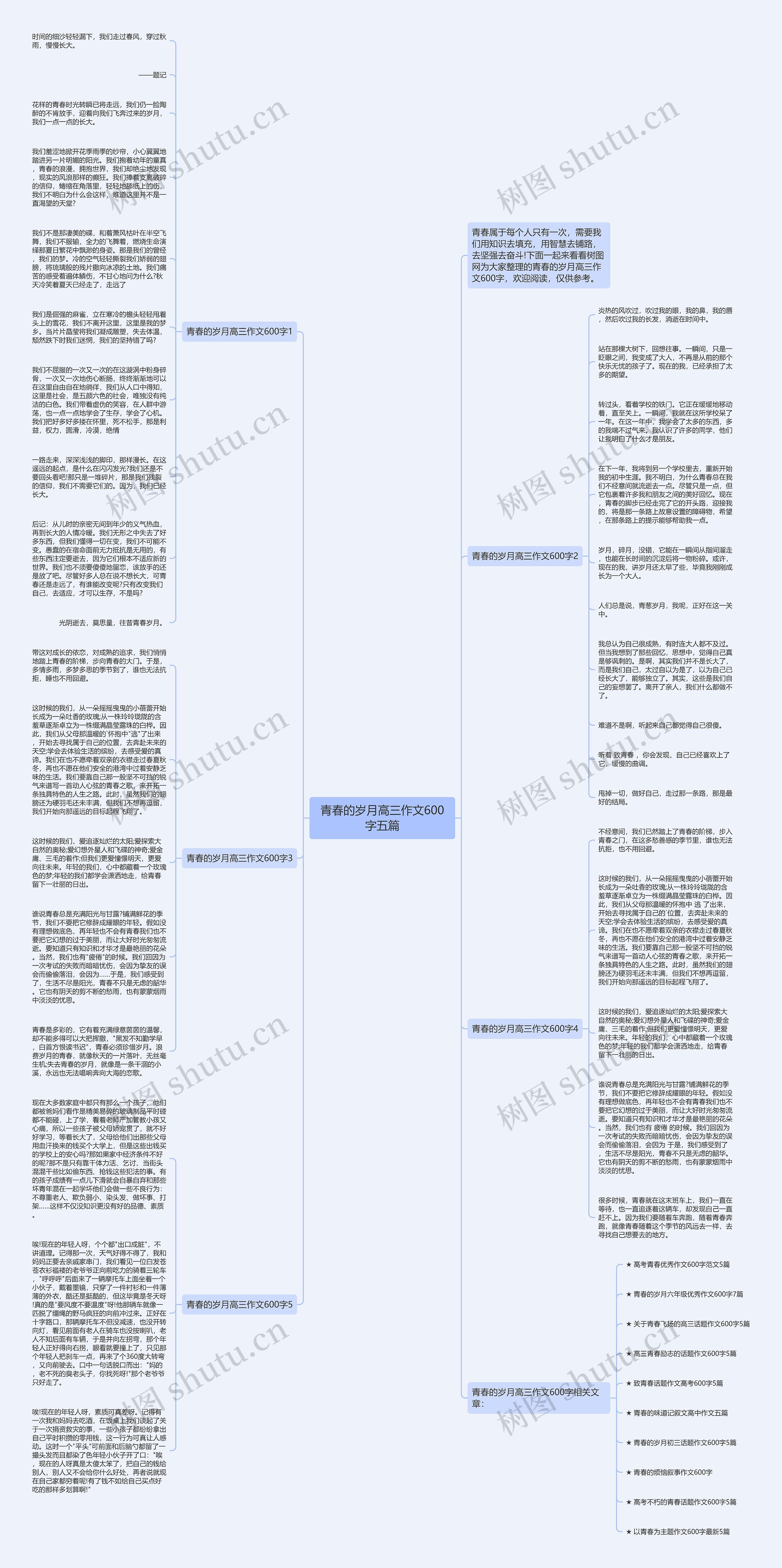 青春的岁月高三作文600字五篇思维导图