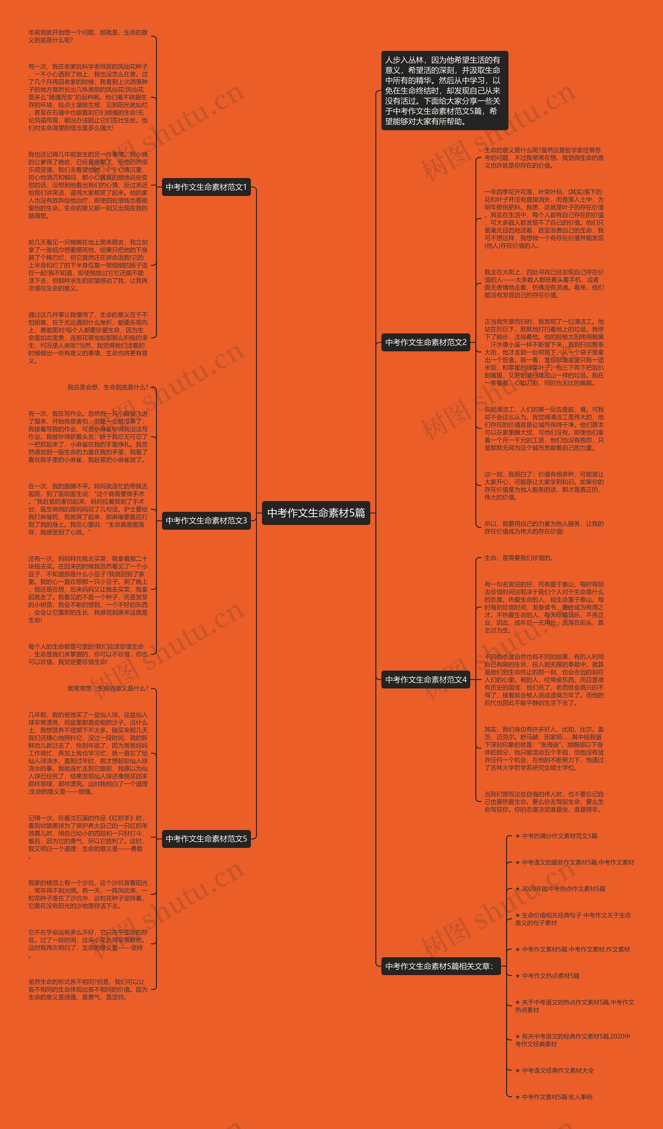 中考作文生命素材5篇思维导图
