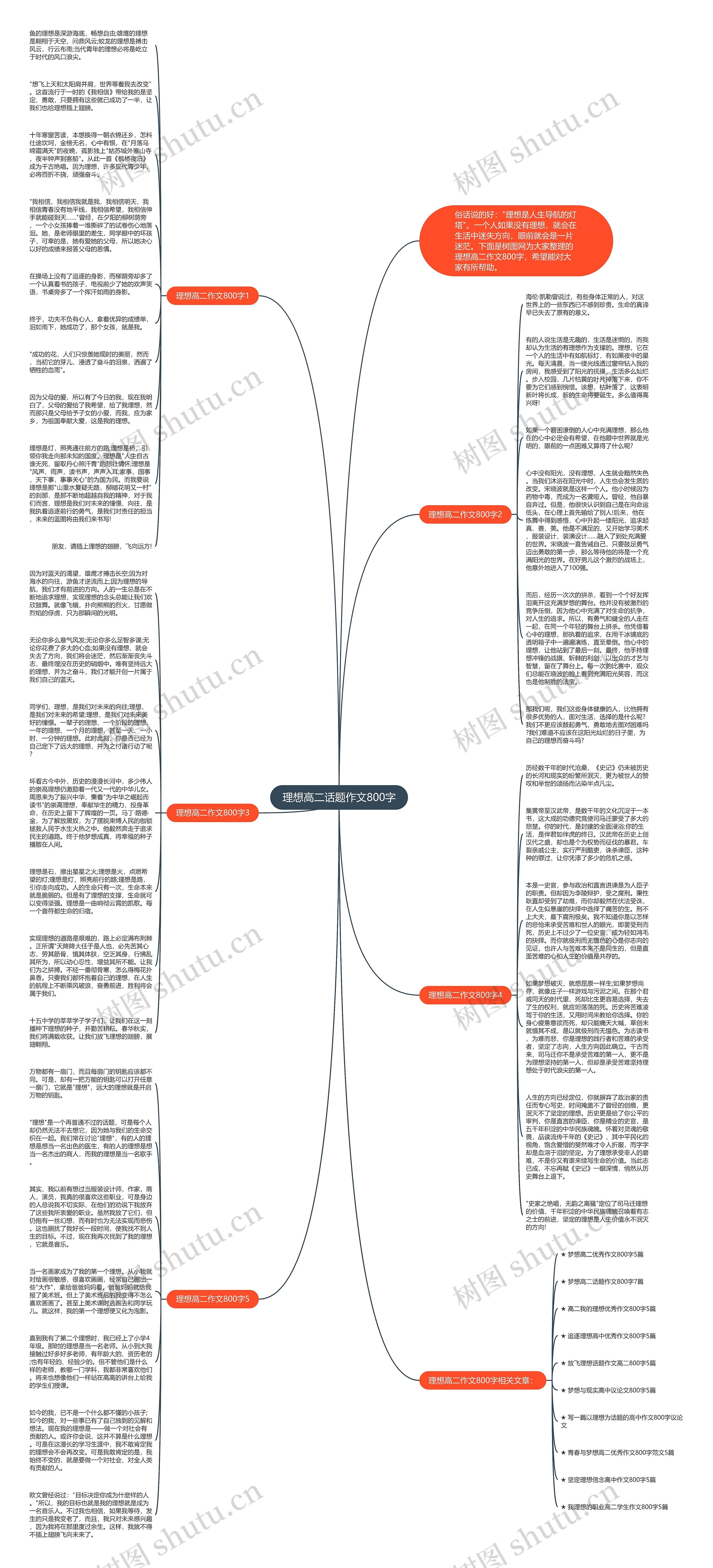 理想高二话题作文800字思维导图