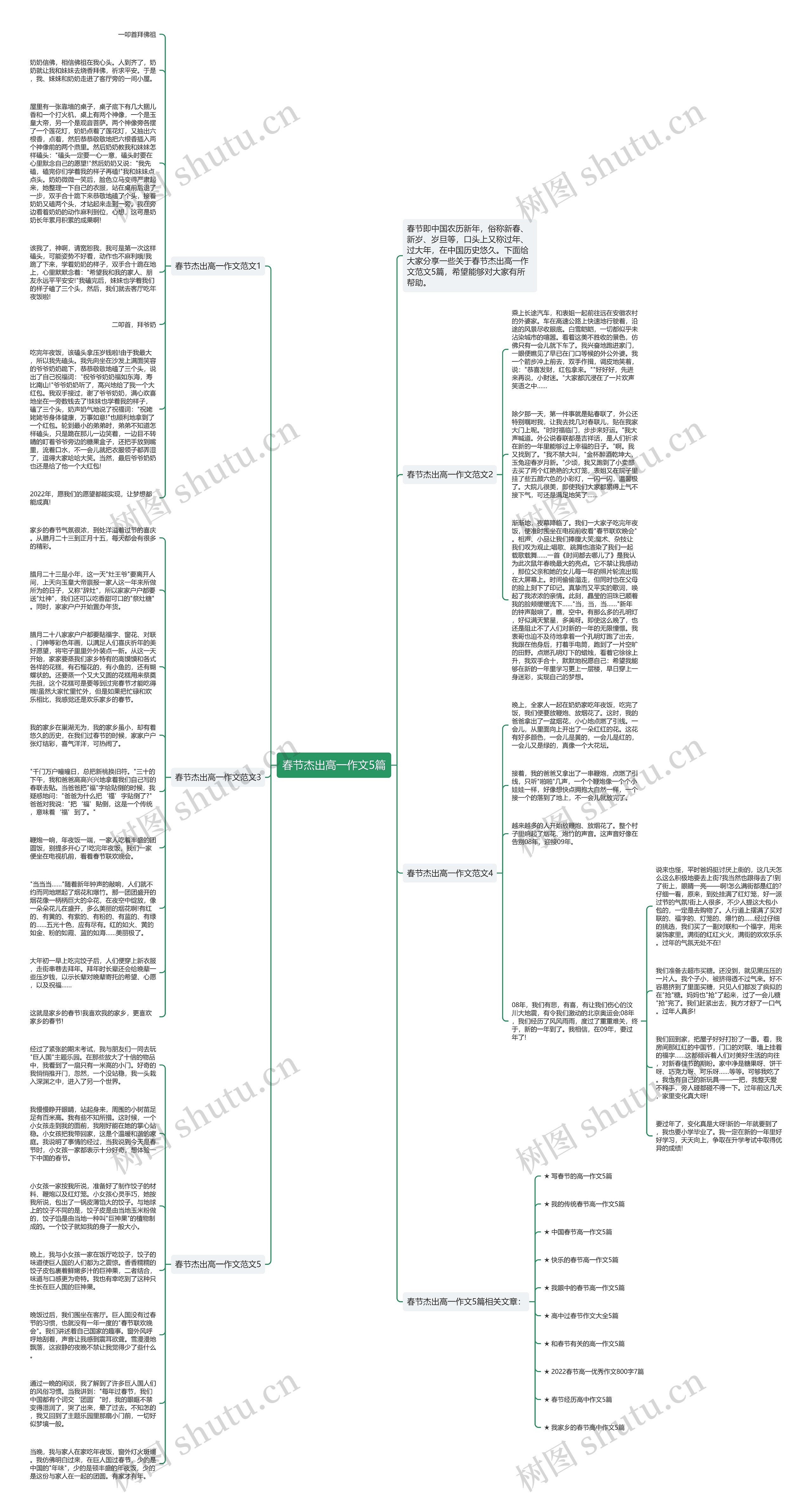 春节杰出高一作文5篇思维导图