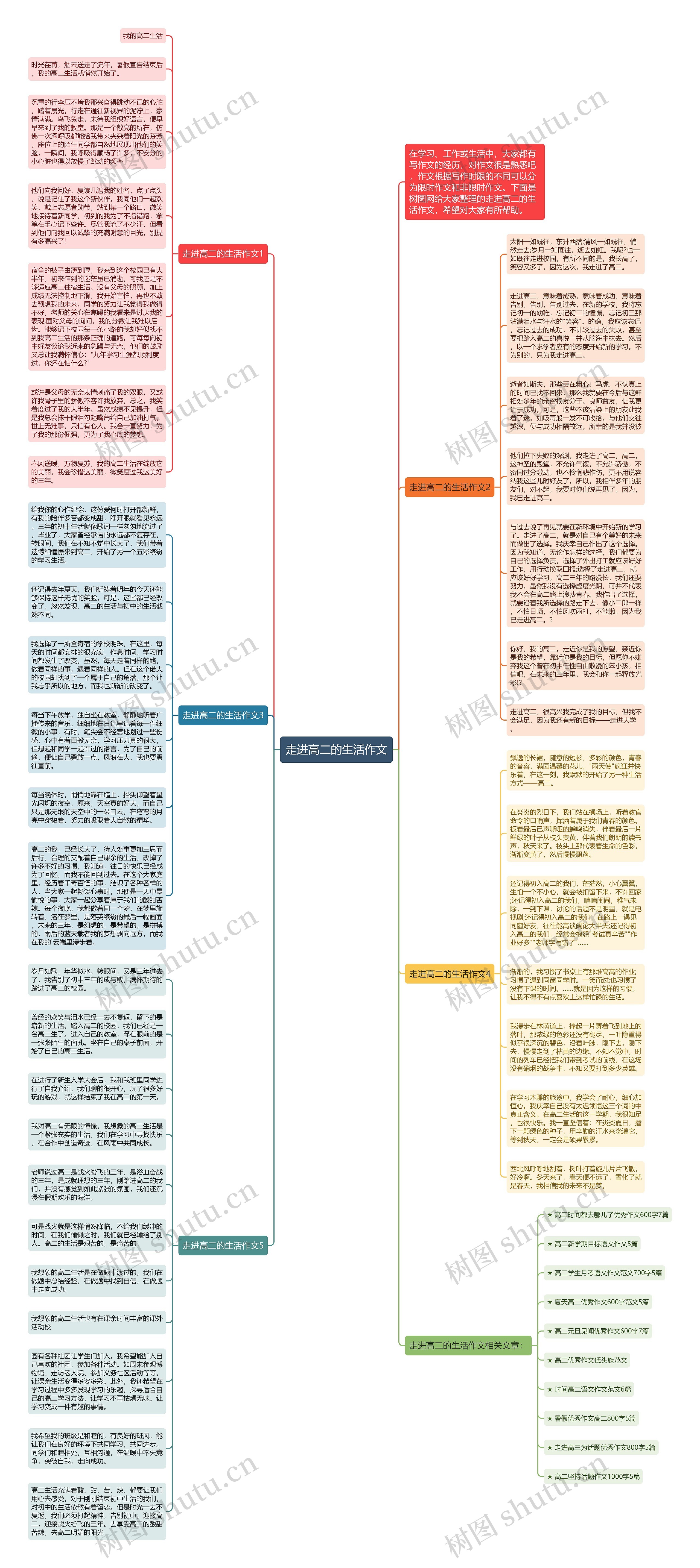 走进高二的生活作文思维导图
