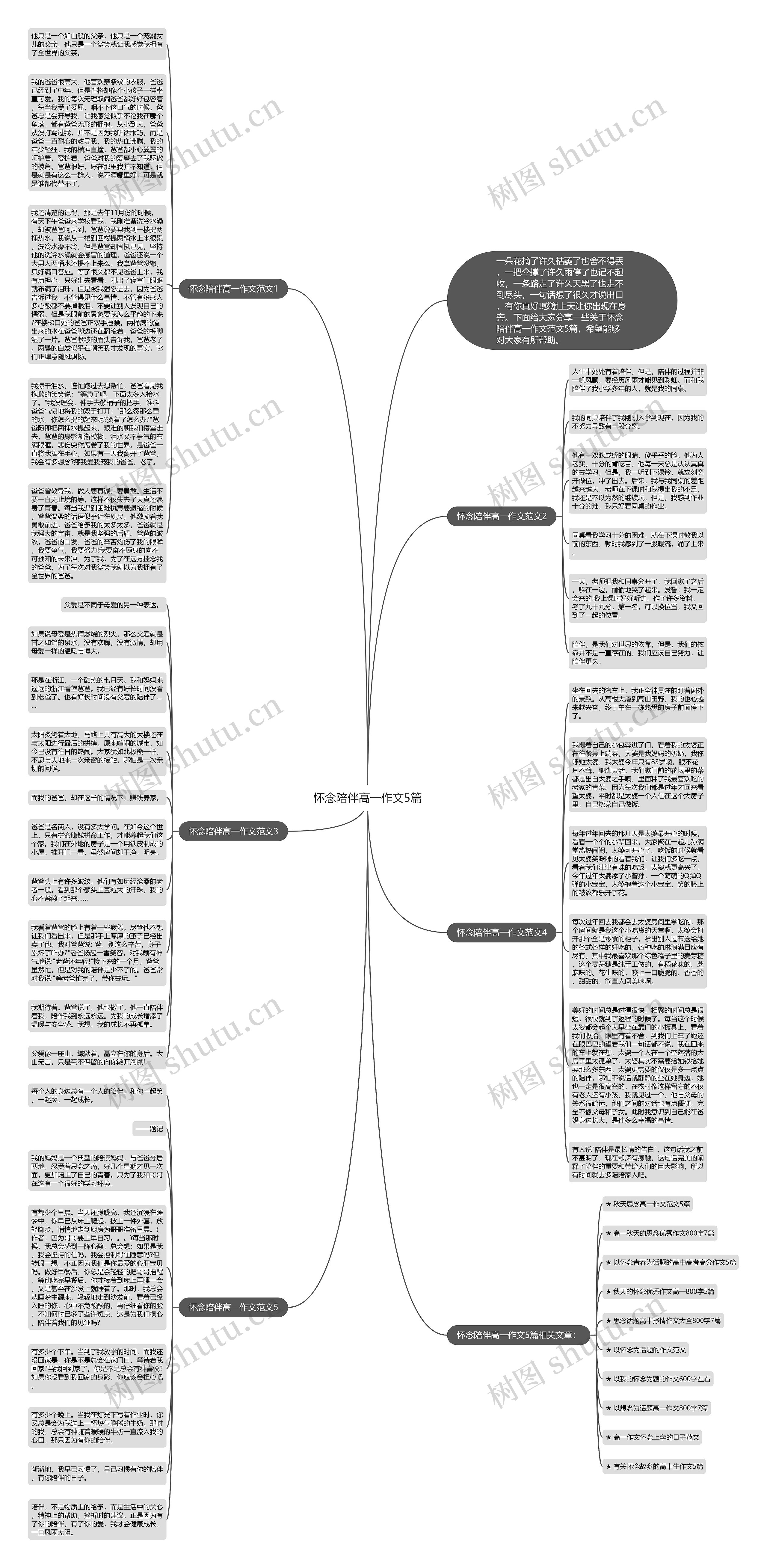 怀念陪伴高一作文5篇思维导图