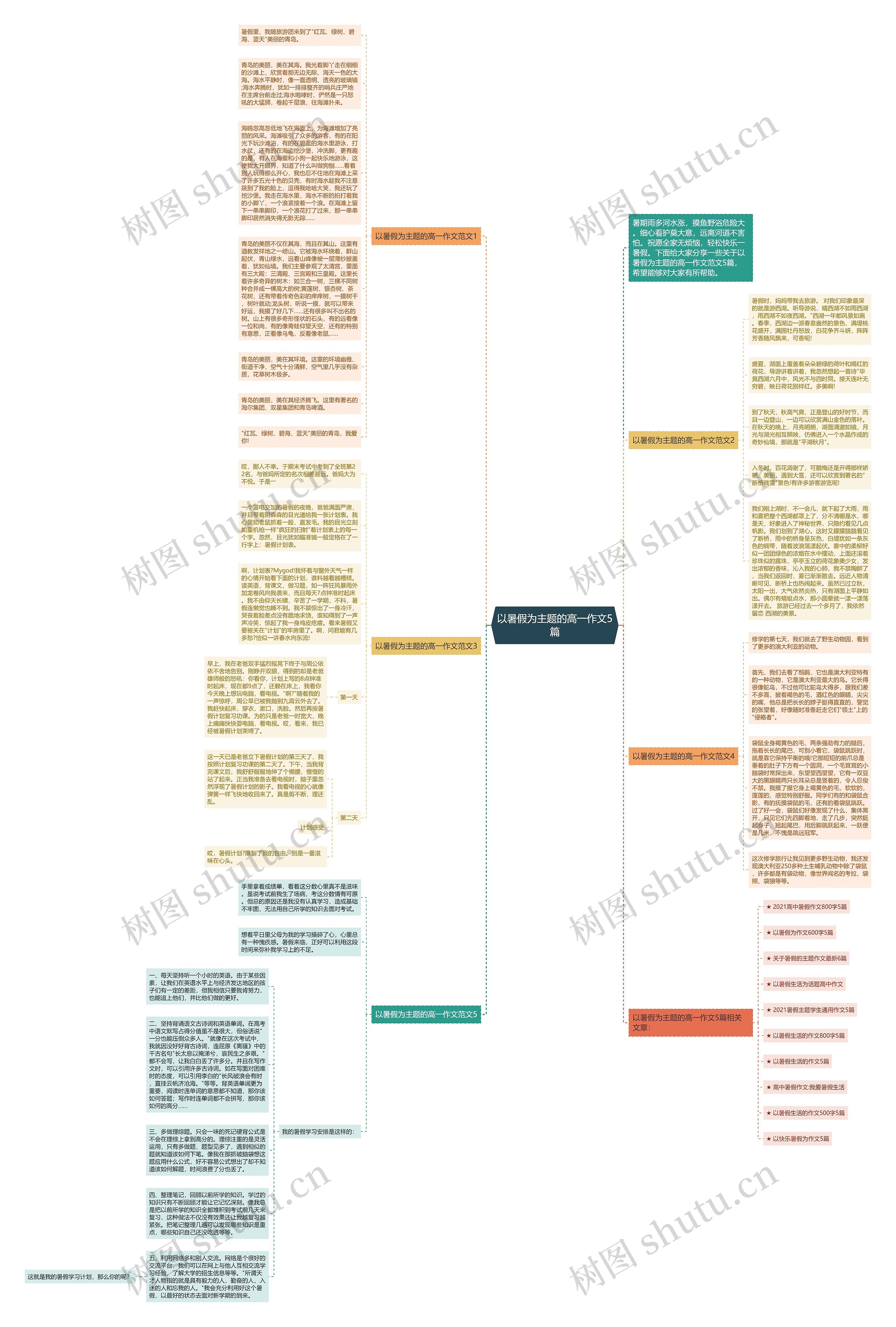 以暑假为主题的高一作文5篇思维导图