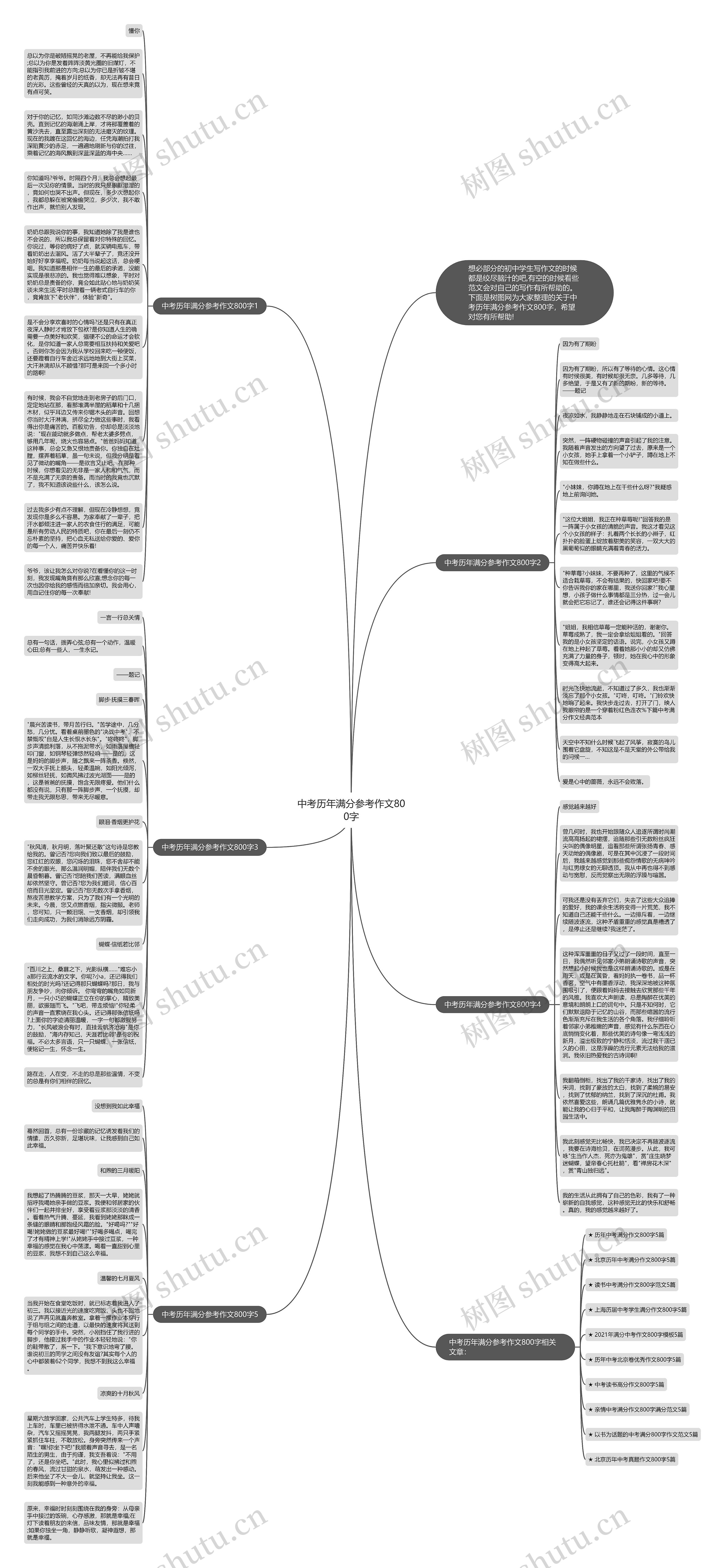 中考历年满分参考作文800字思维导图