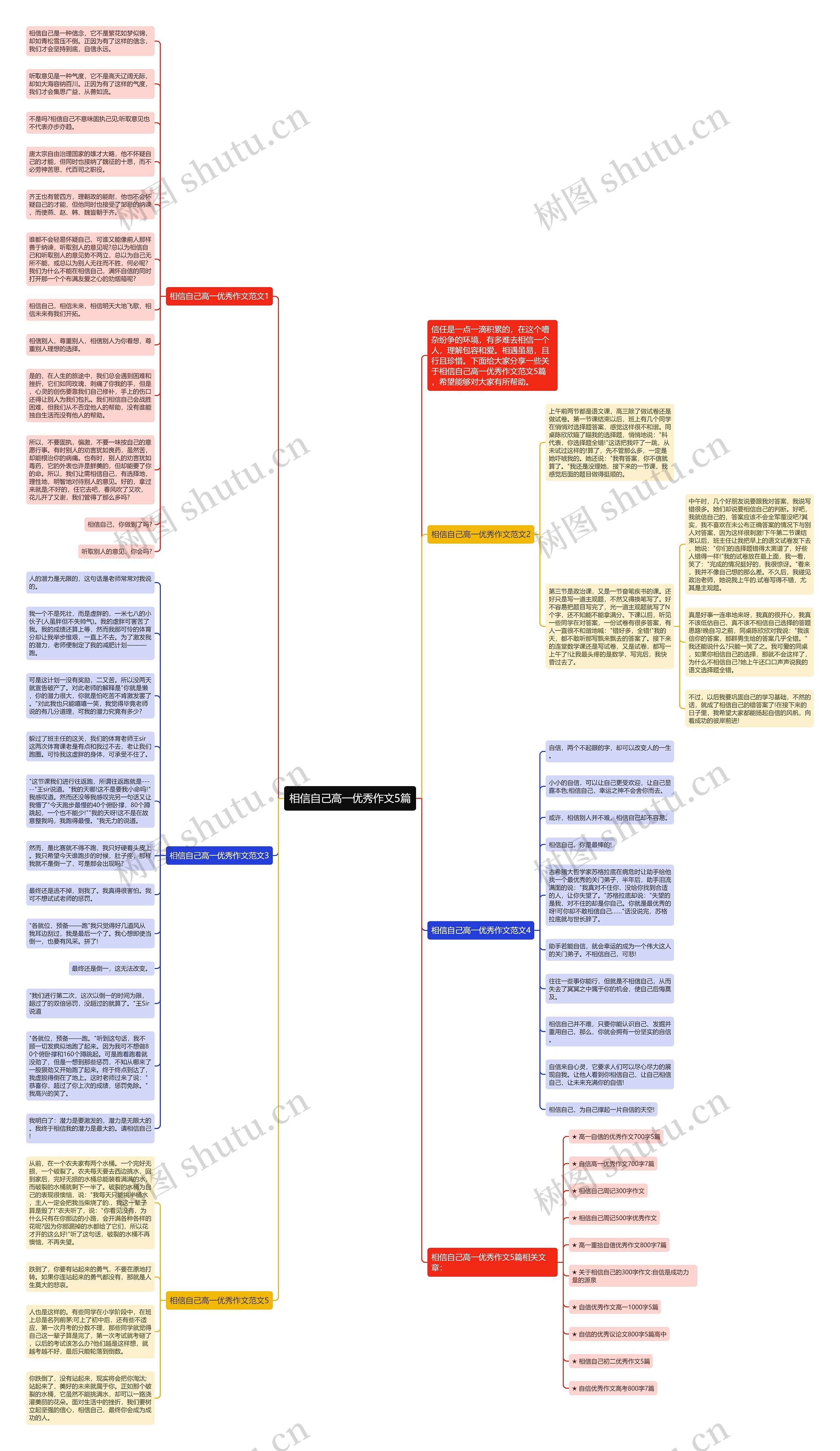 相信自己高一优秀作文5篇思维导图