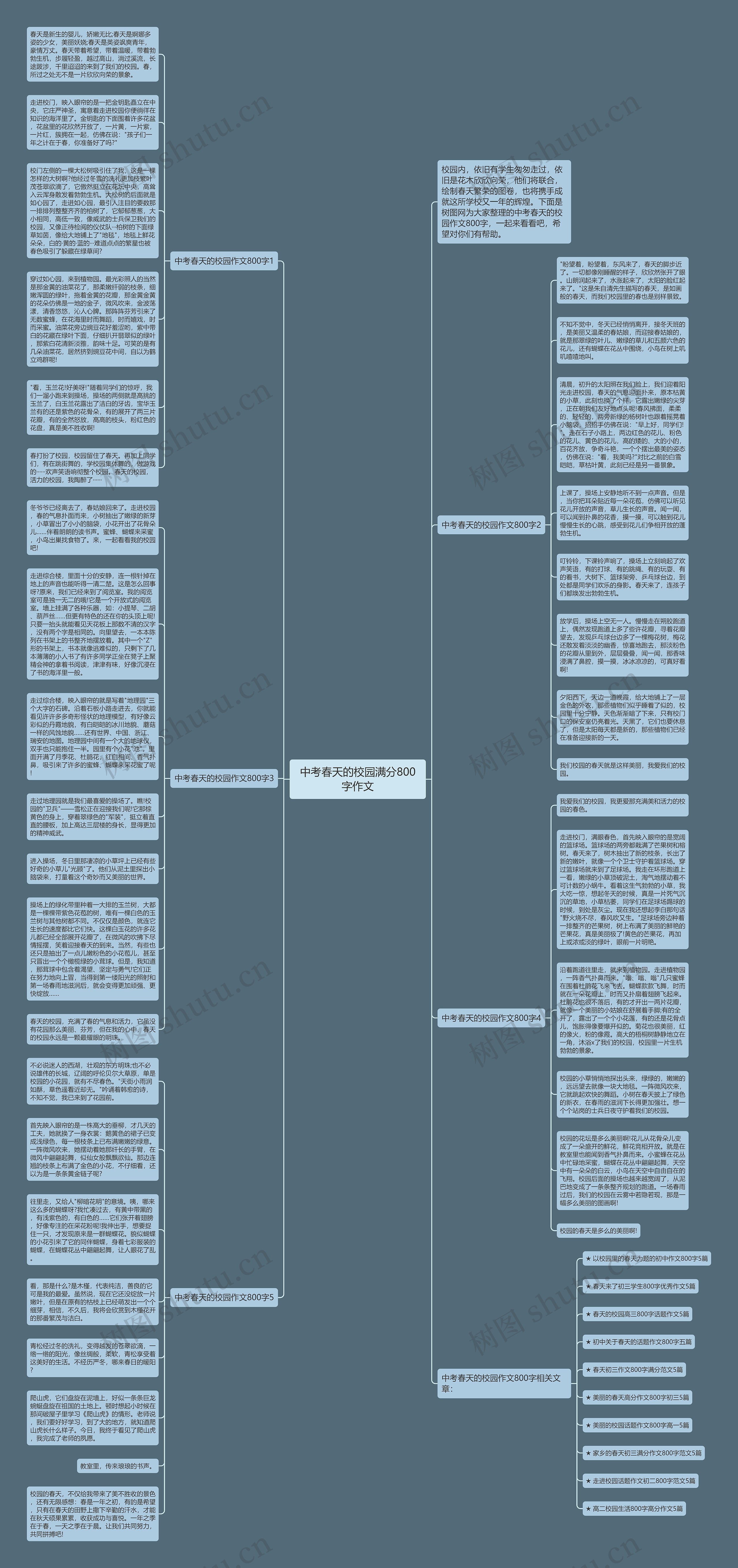 中考春天的校园满分800字作文思维导图