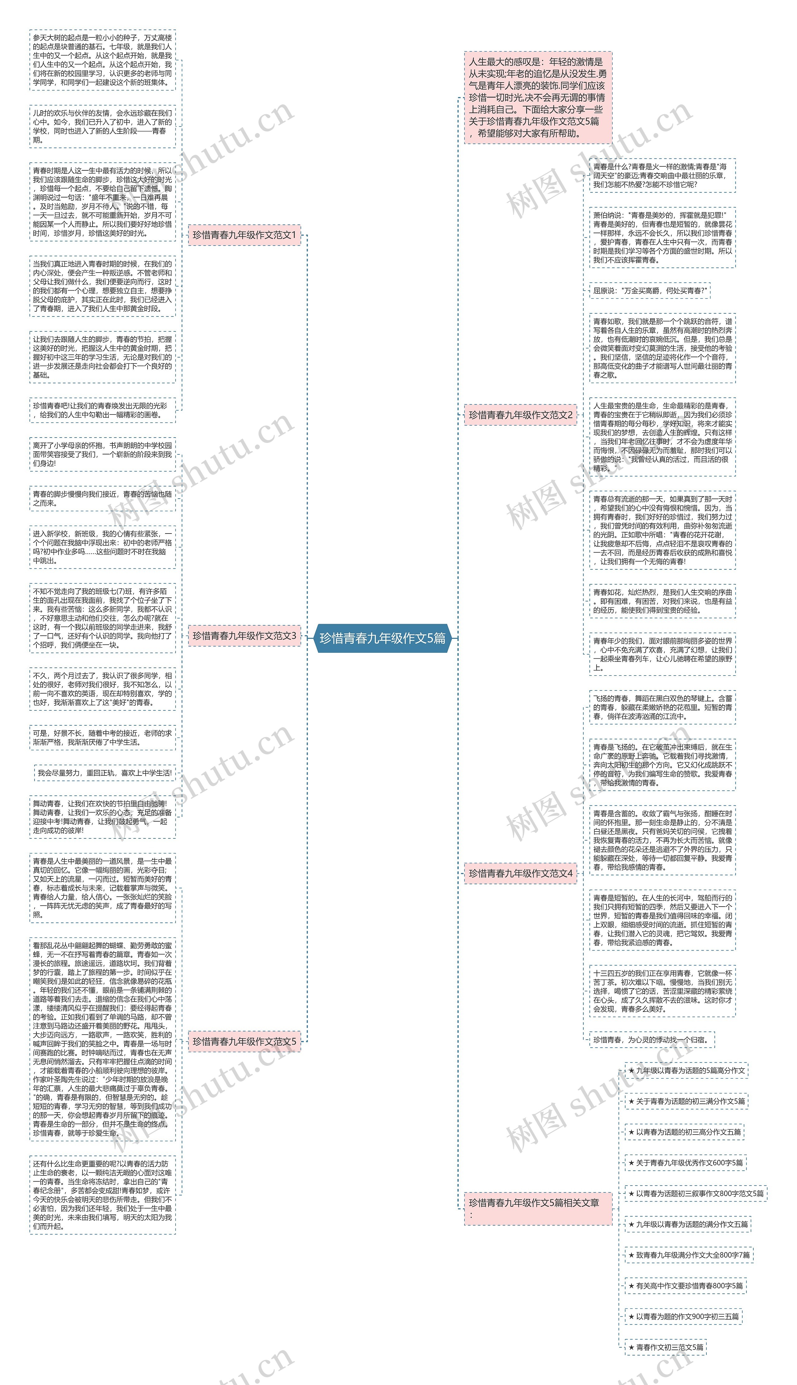 珍惜青春九年级作文5篇思维导图