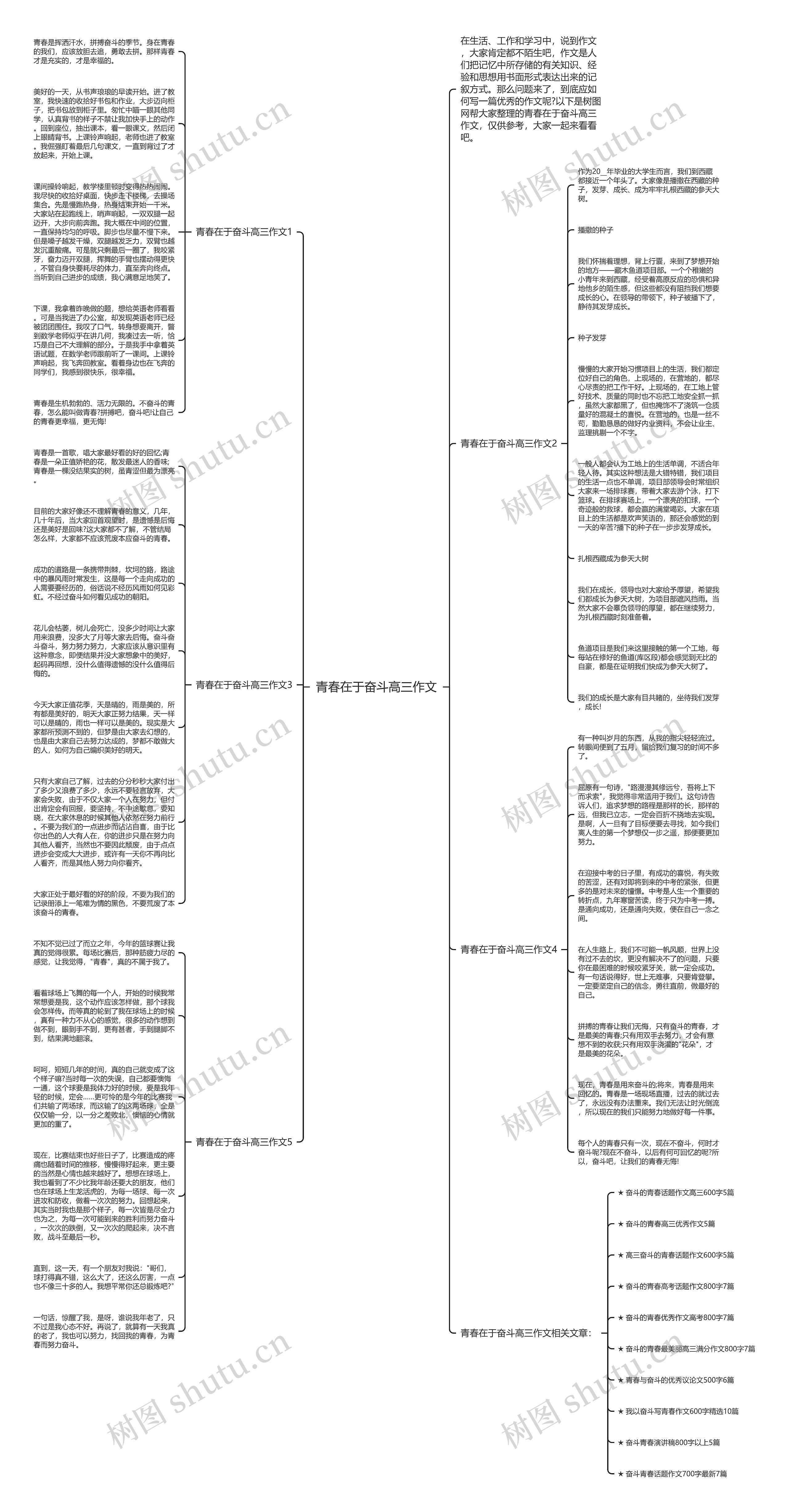 青春在于奋斗高三作文思维导图