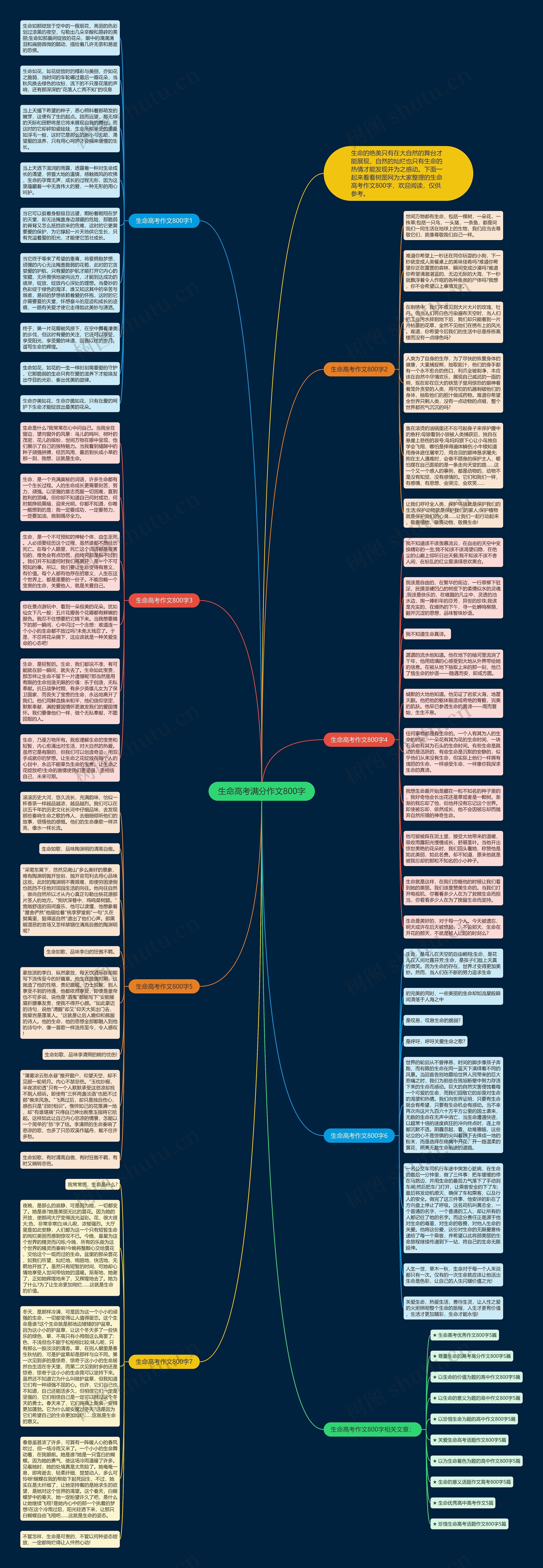 生命高考满分作文800字思维导图