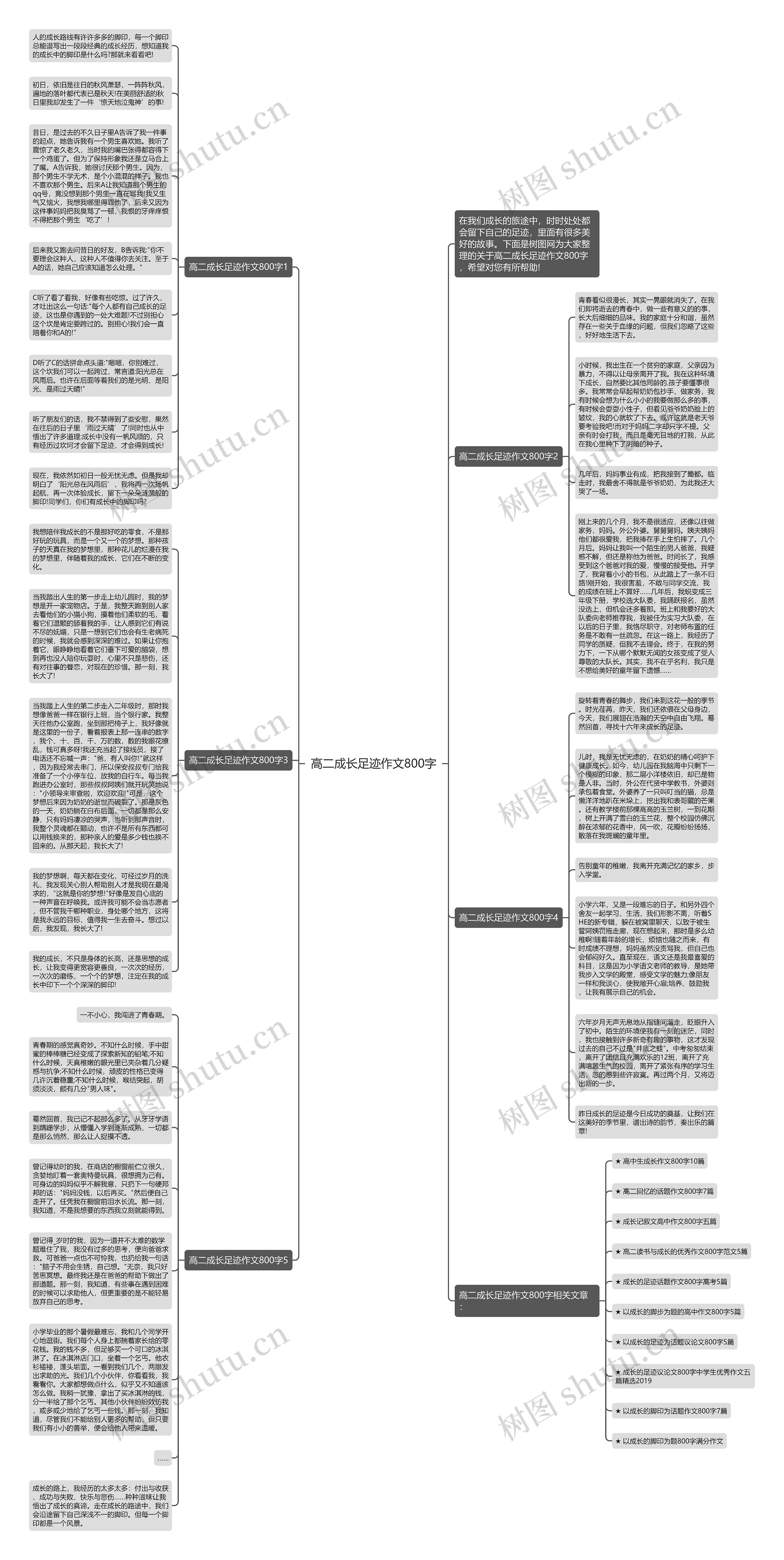 高二成长足迹作文800字思维导图