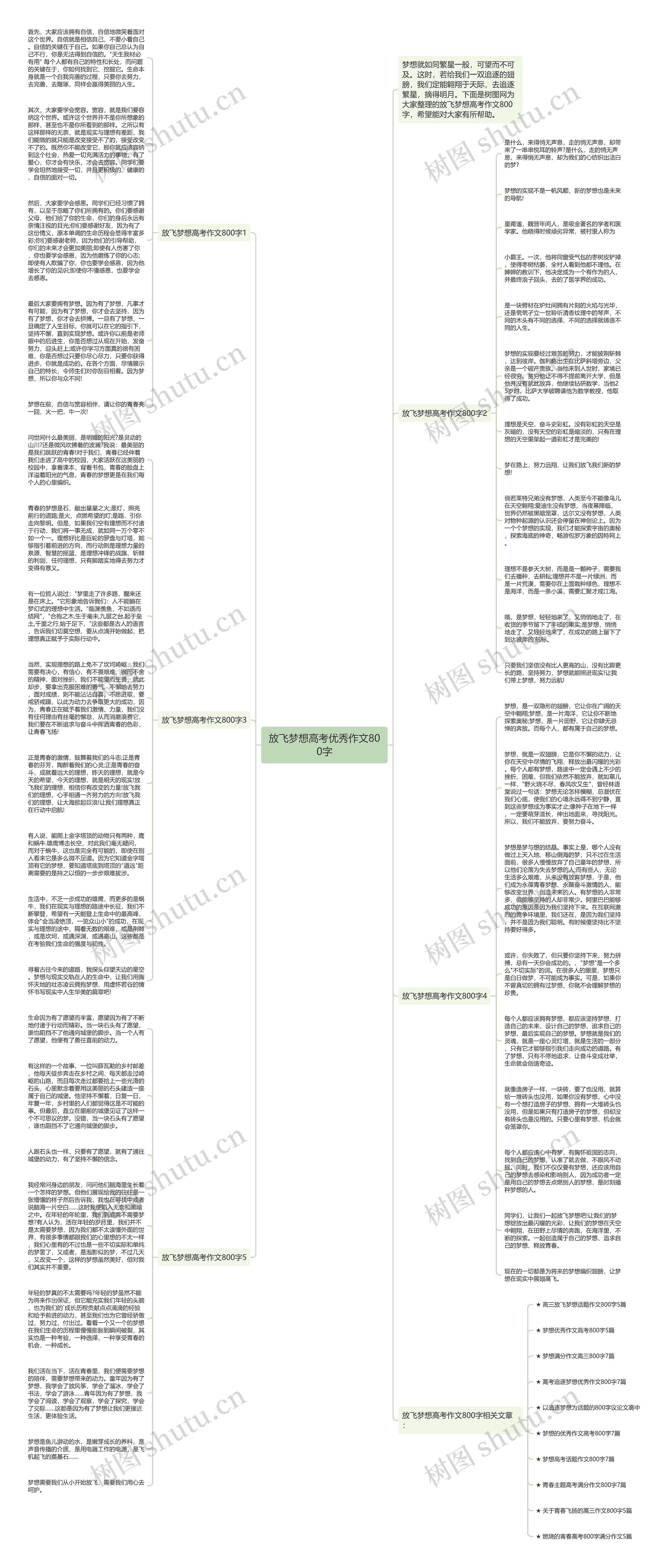 放飞梦想高考优秀作文800字思维导图