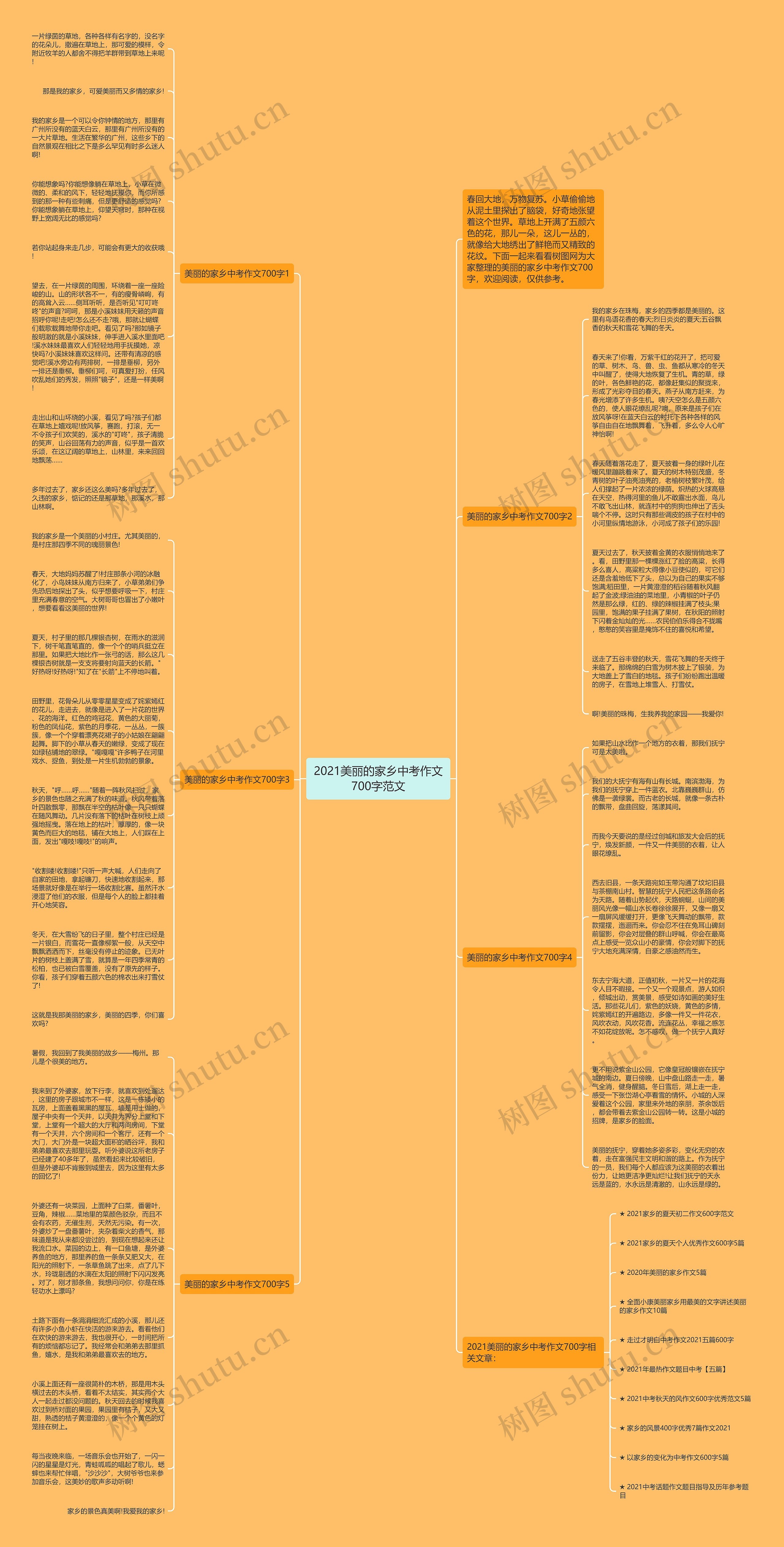 2021美丽的家乡中考作文700字范文思维导图