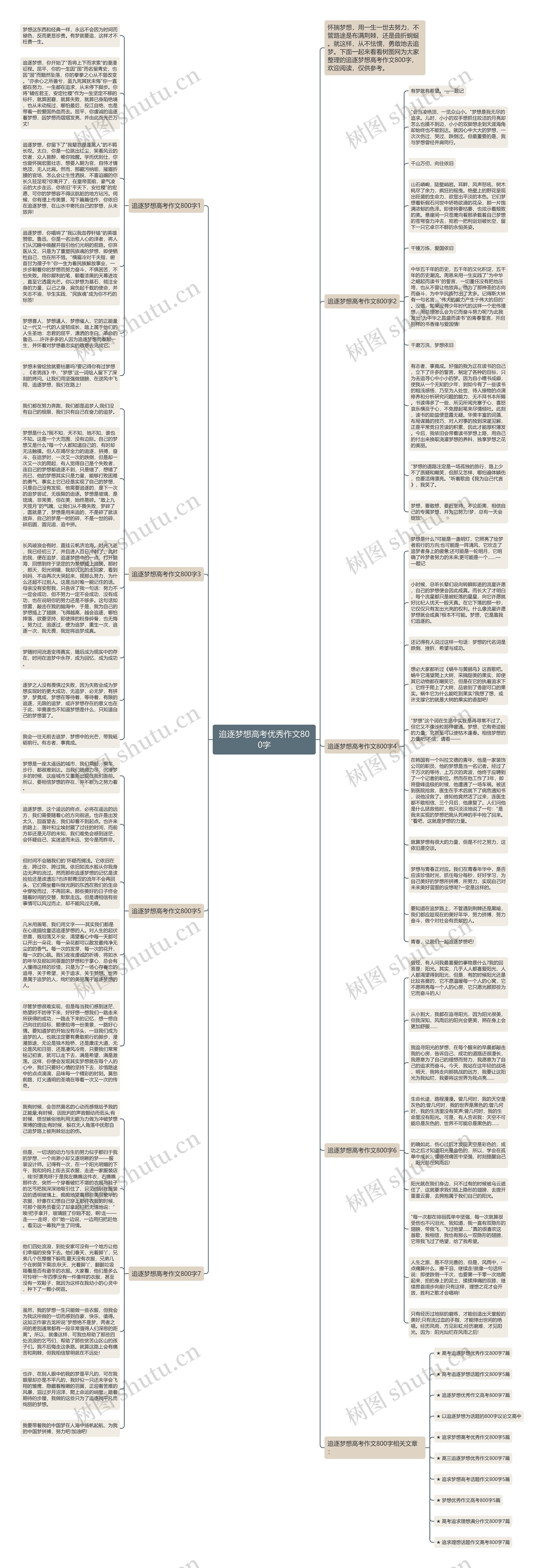 追逐梦想高考优秀作文800字思维导图