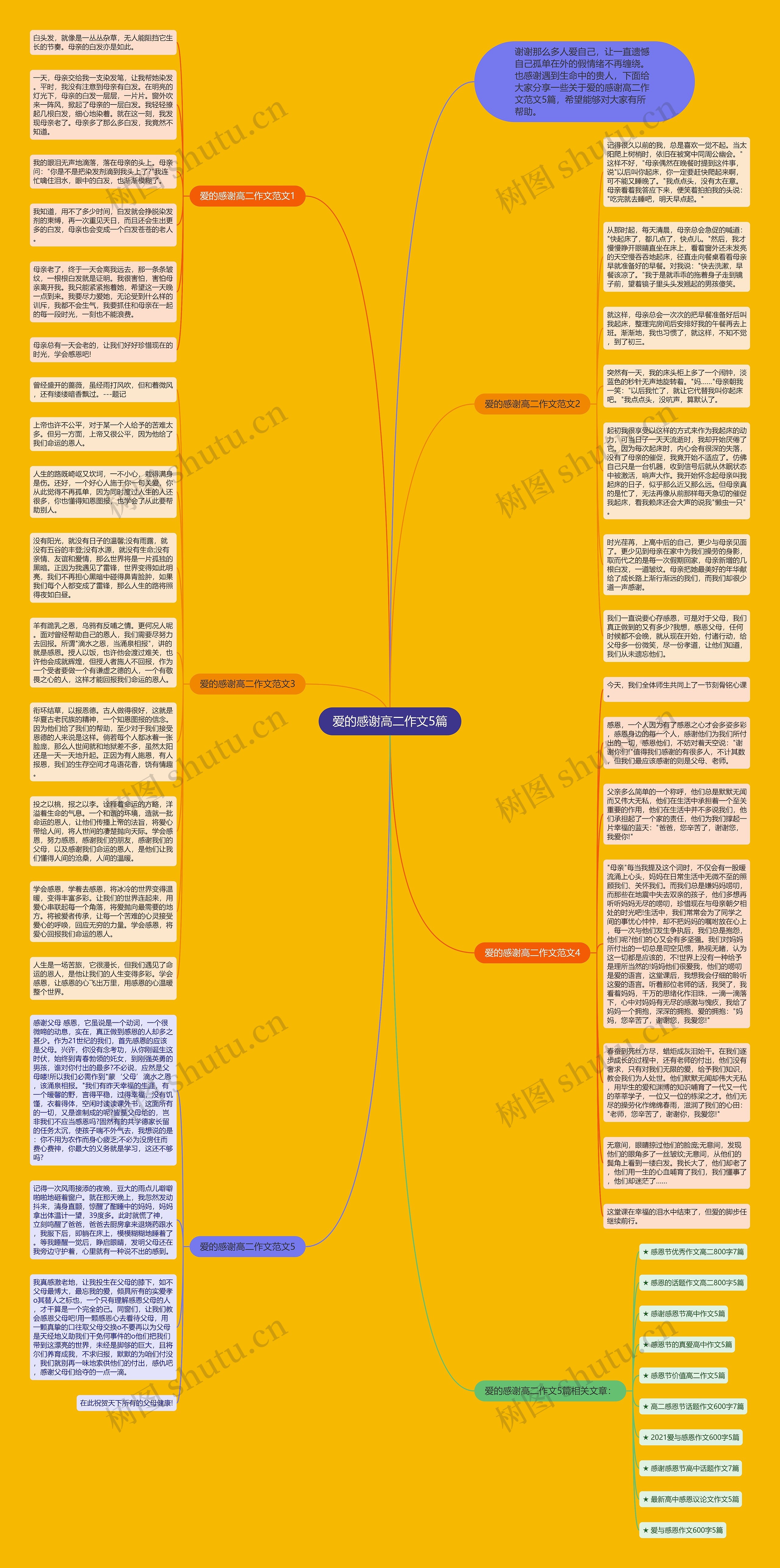 爱的感谢高二作文5篇思维导图