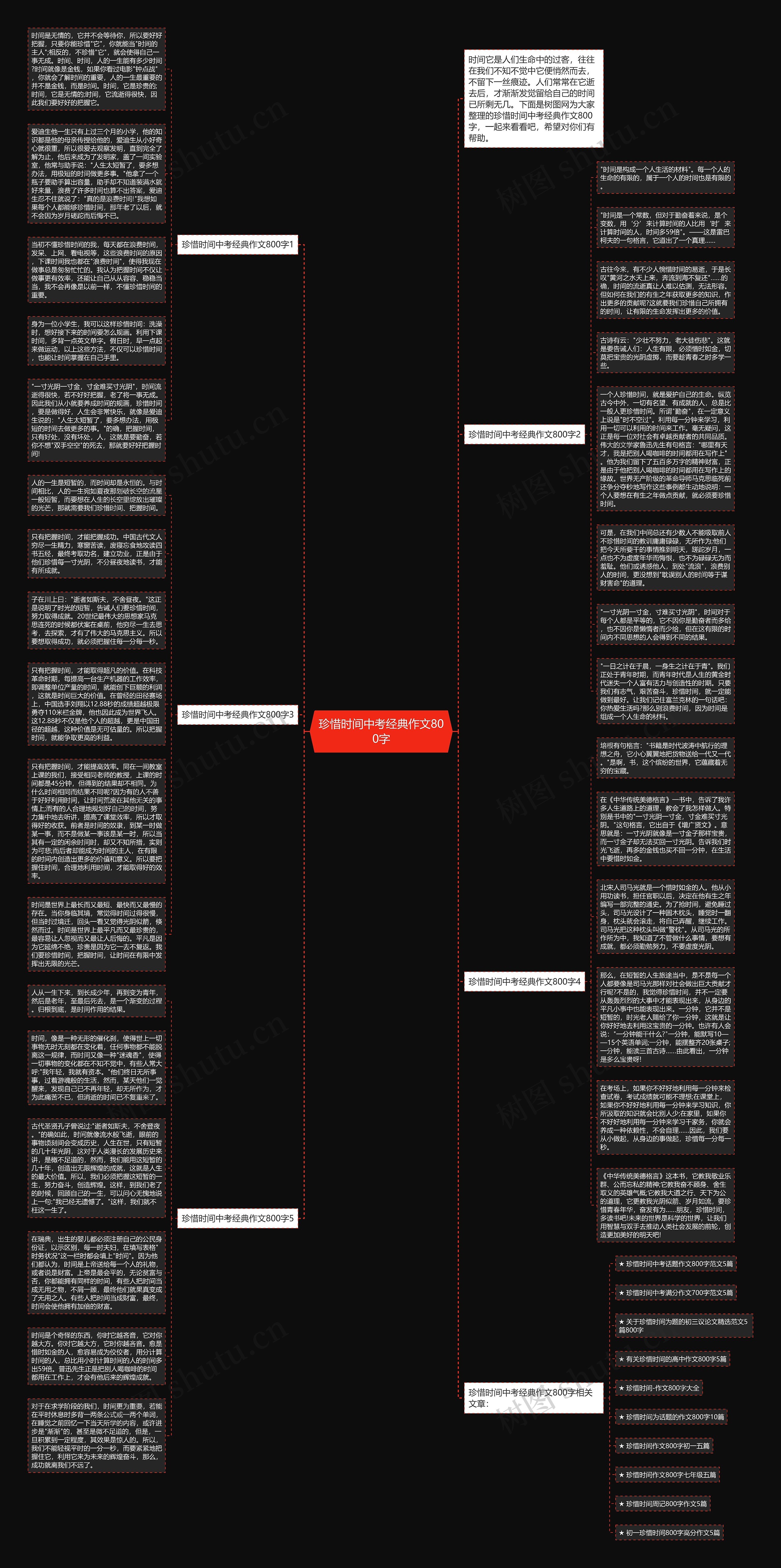 珍惜时间中考经典作文800字思维导图