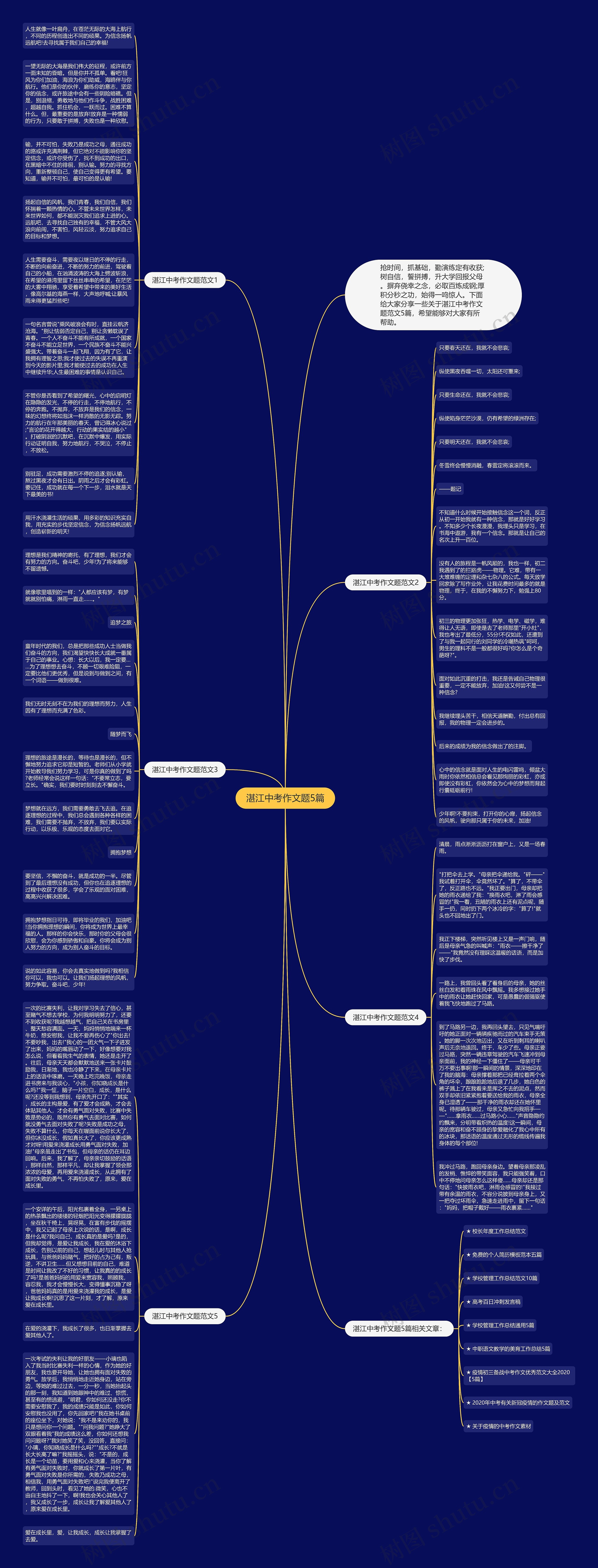 湛江中考作文题5篇思维导图