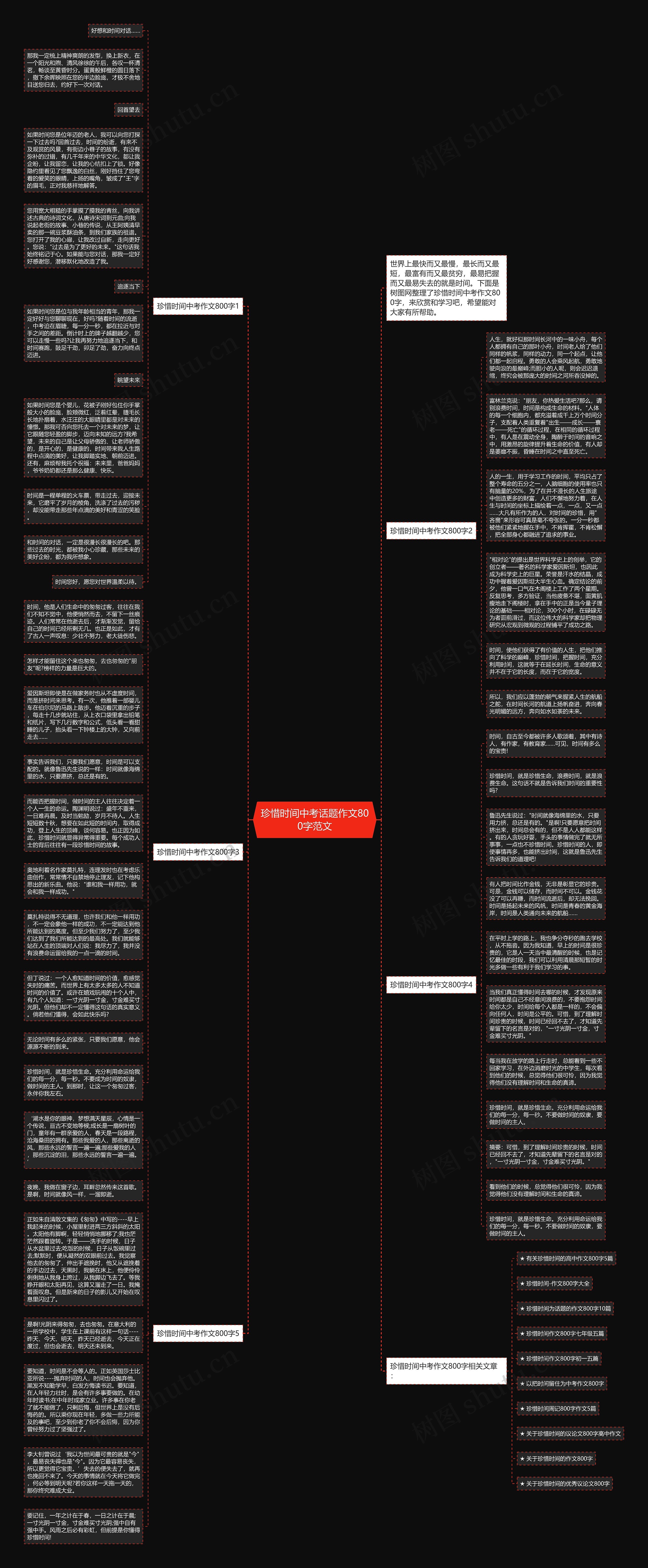 珍惜时间中考话题作文800字范文思维导图