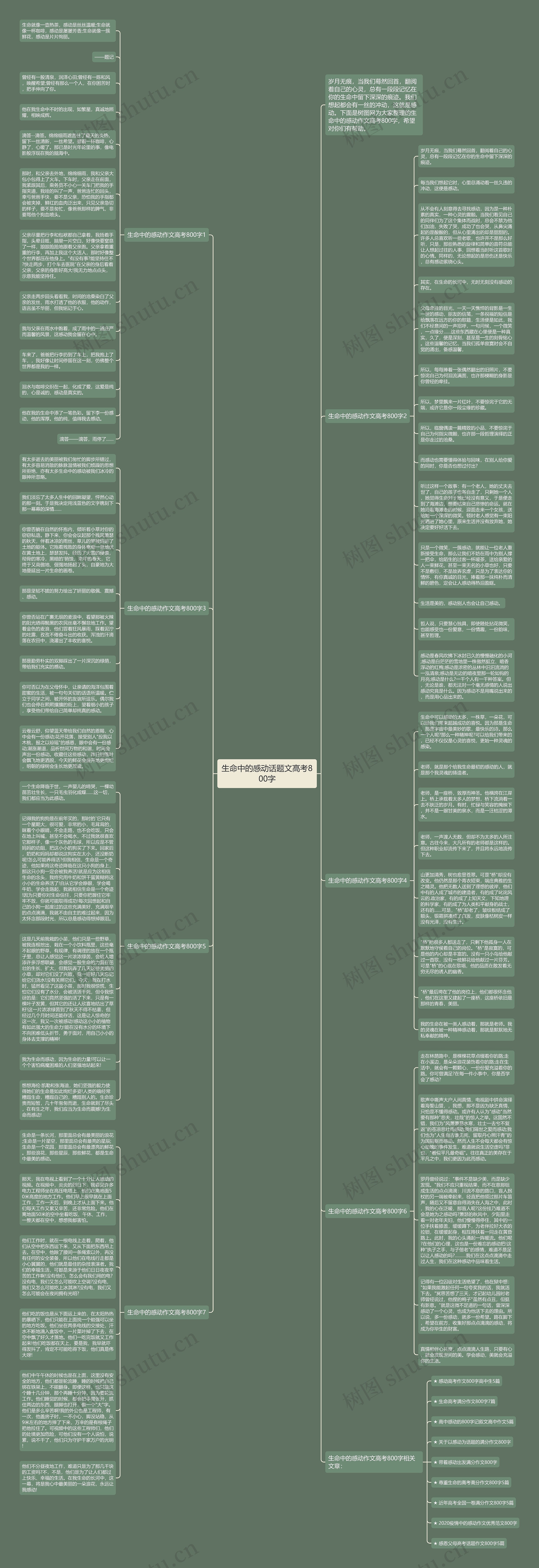 生命中的感动话题文高考800字思维导图