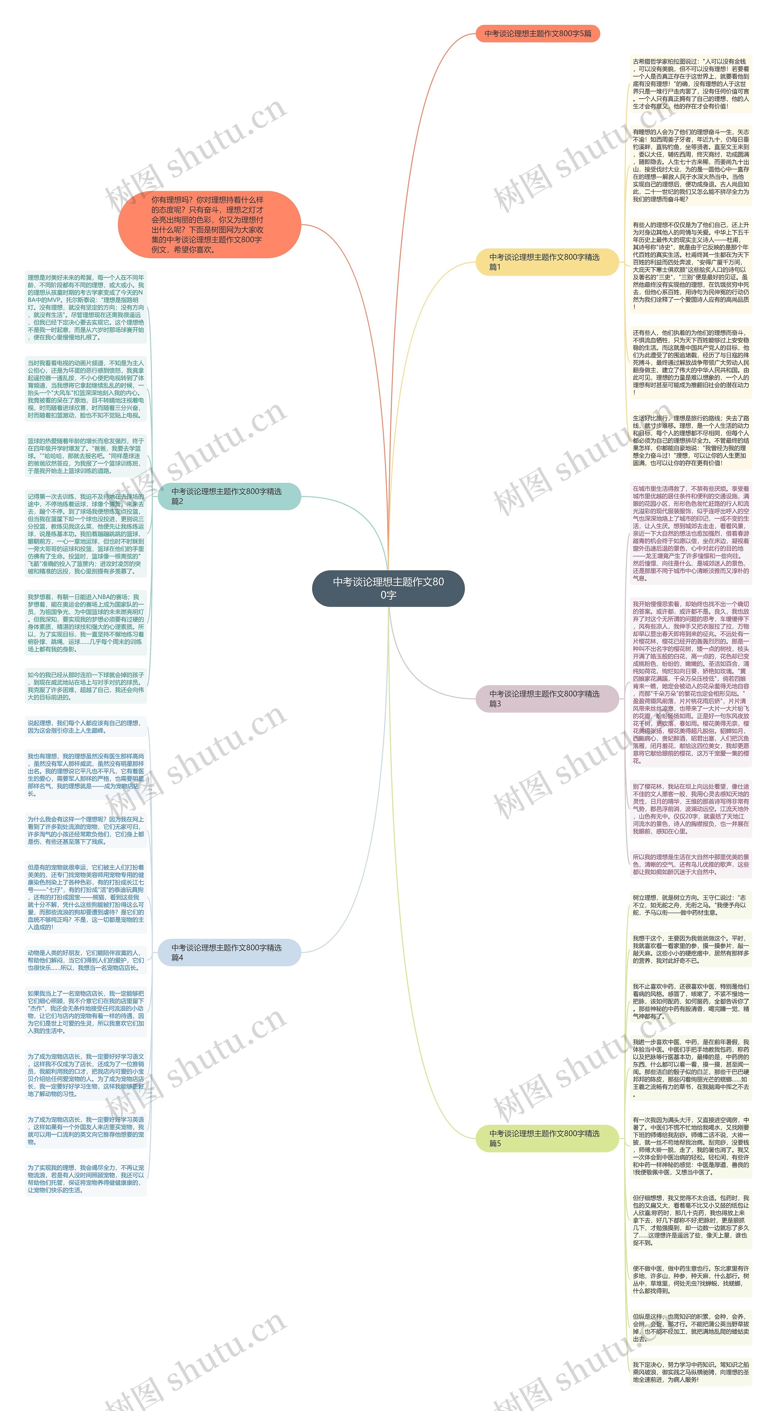 中考谈论理想主题作文800字思维导图