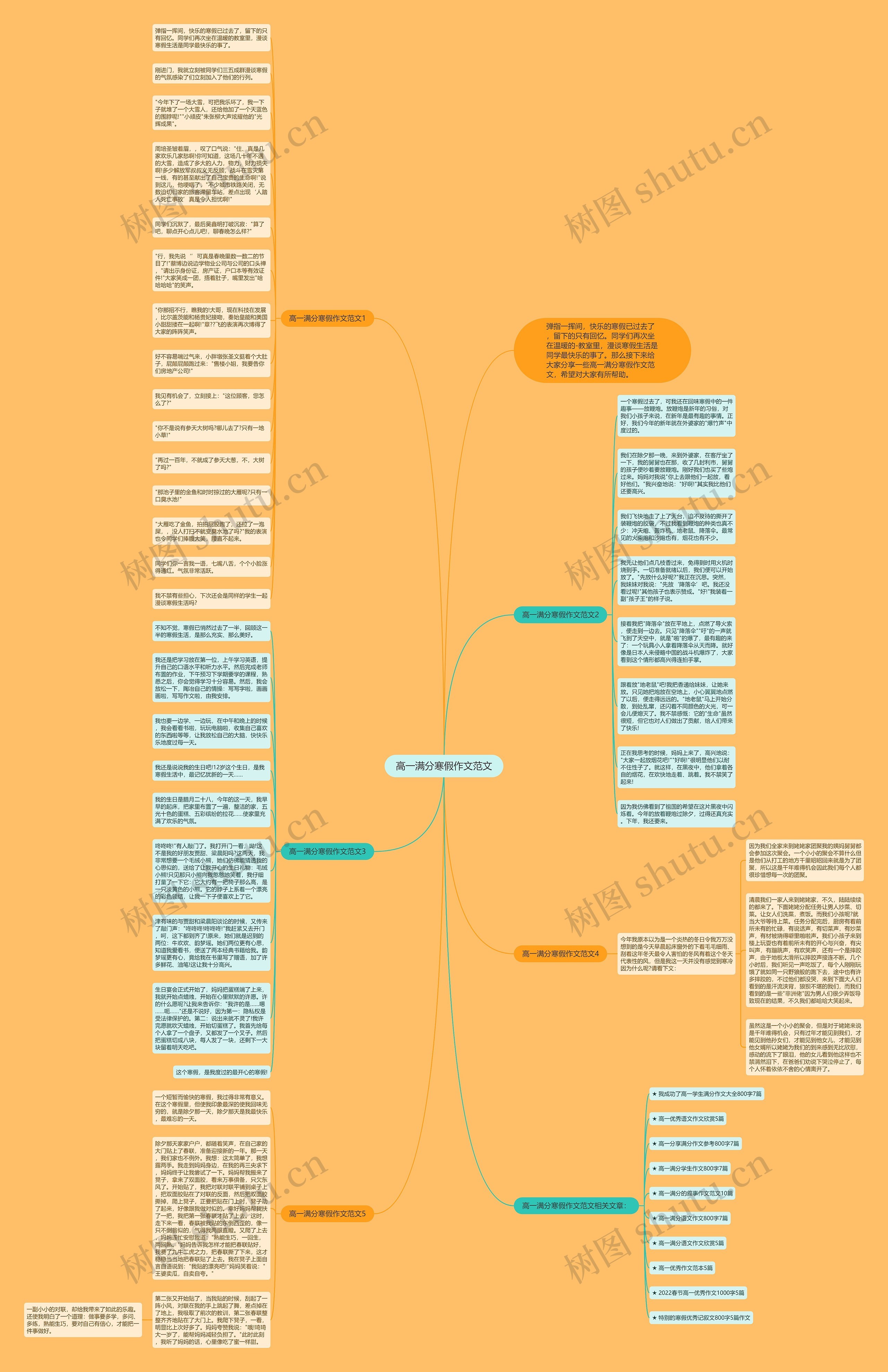 高一满分寒假作文范文思维导图